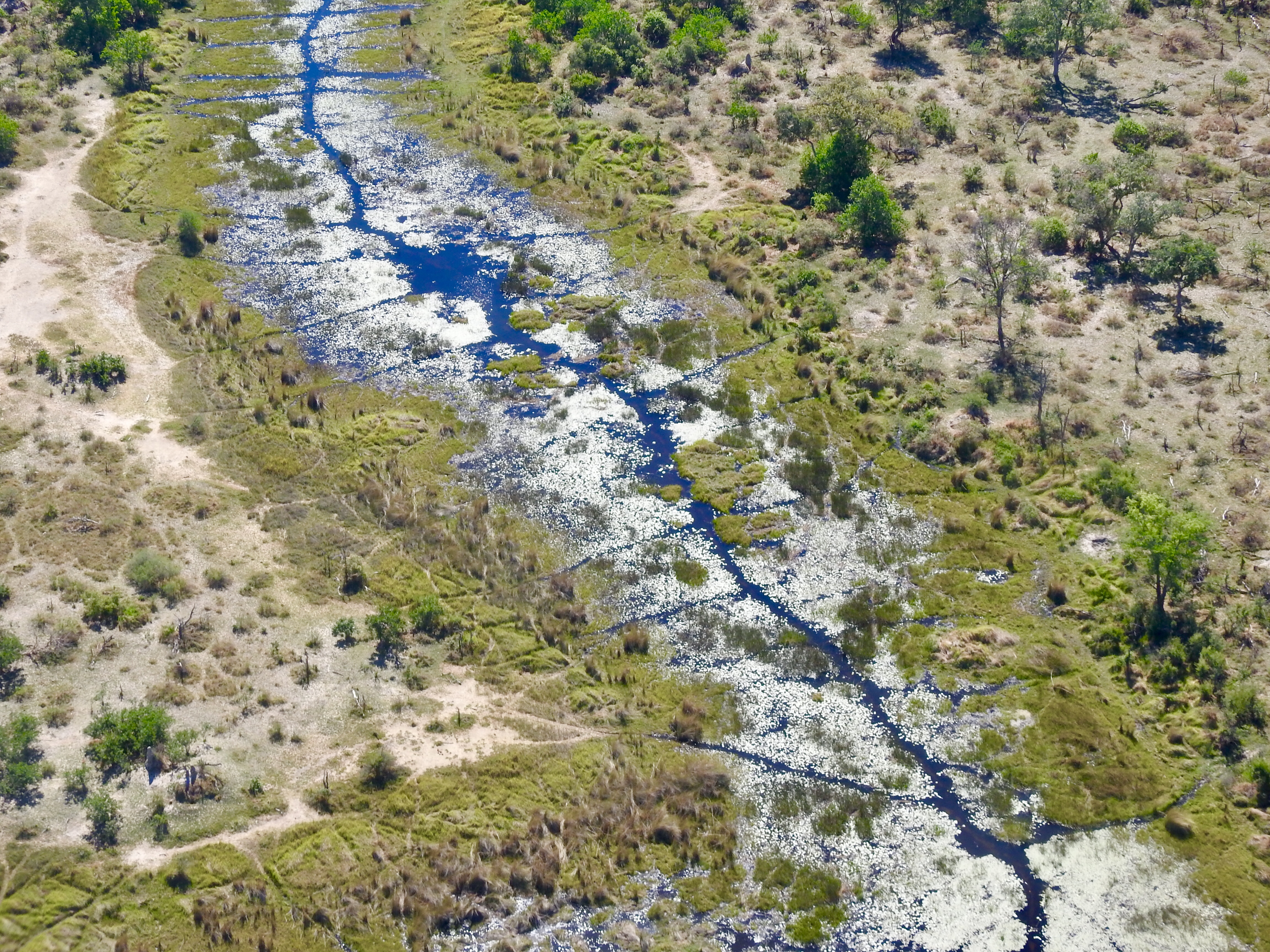Okavango Delta