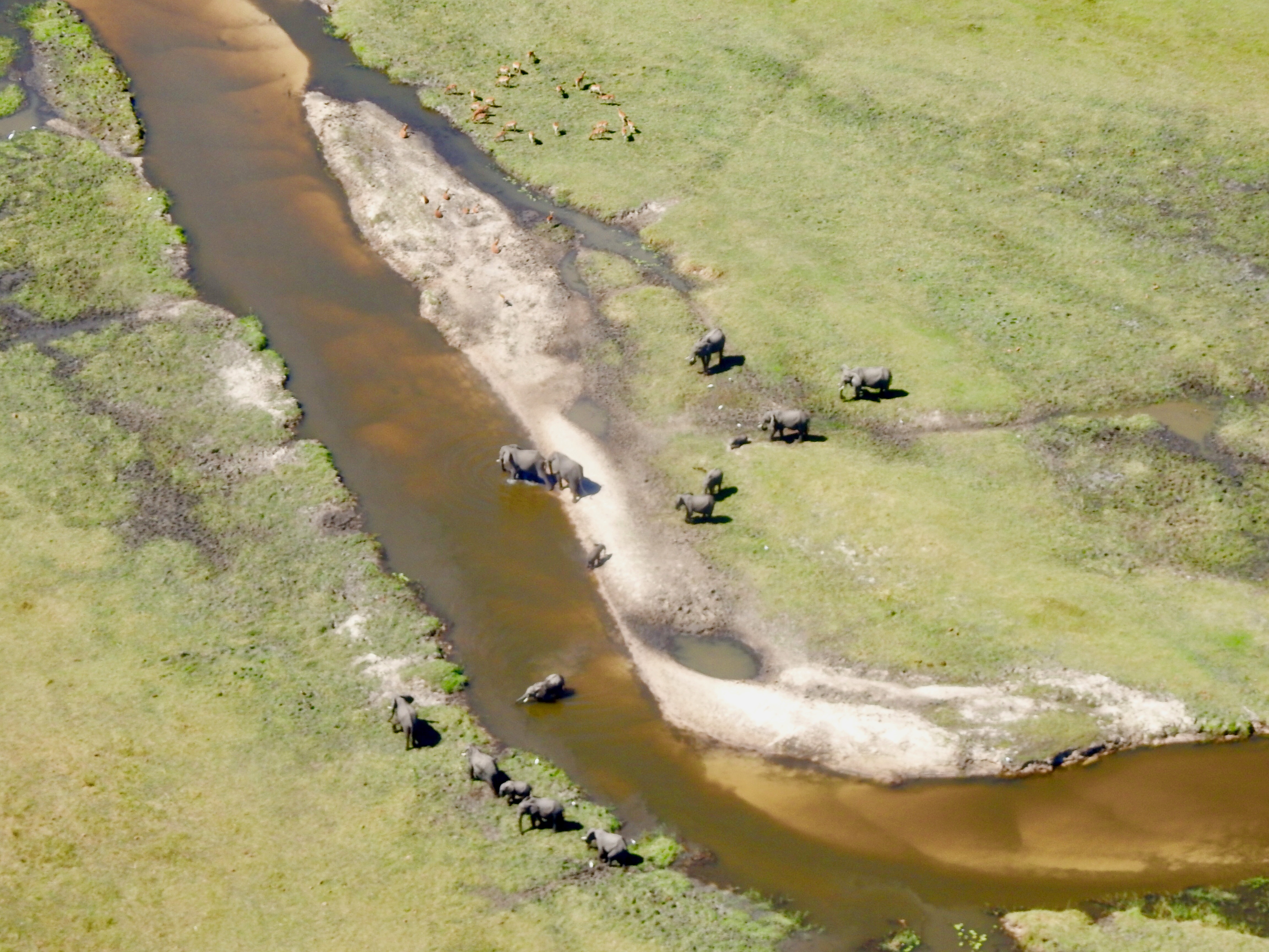 Okavango Delta