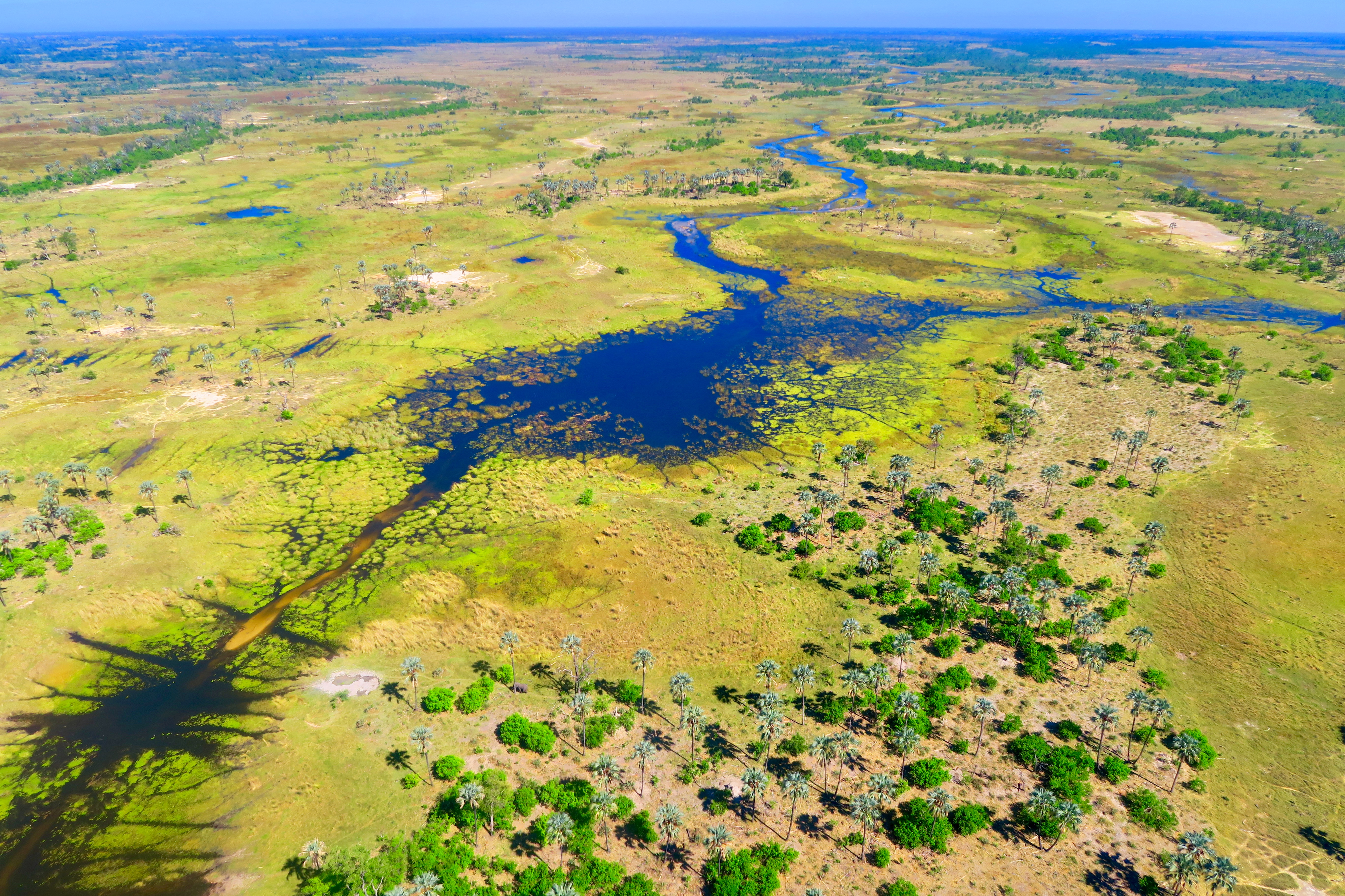 Okavango Delta