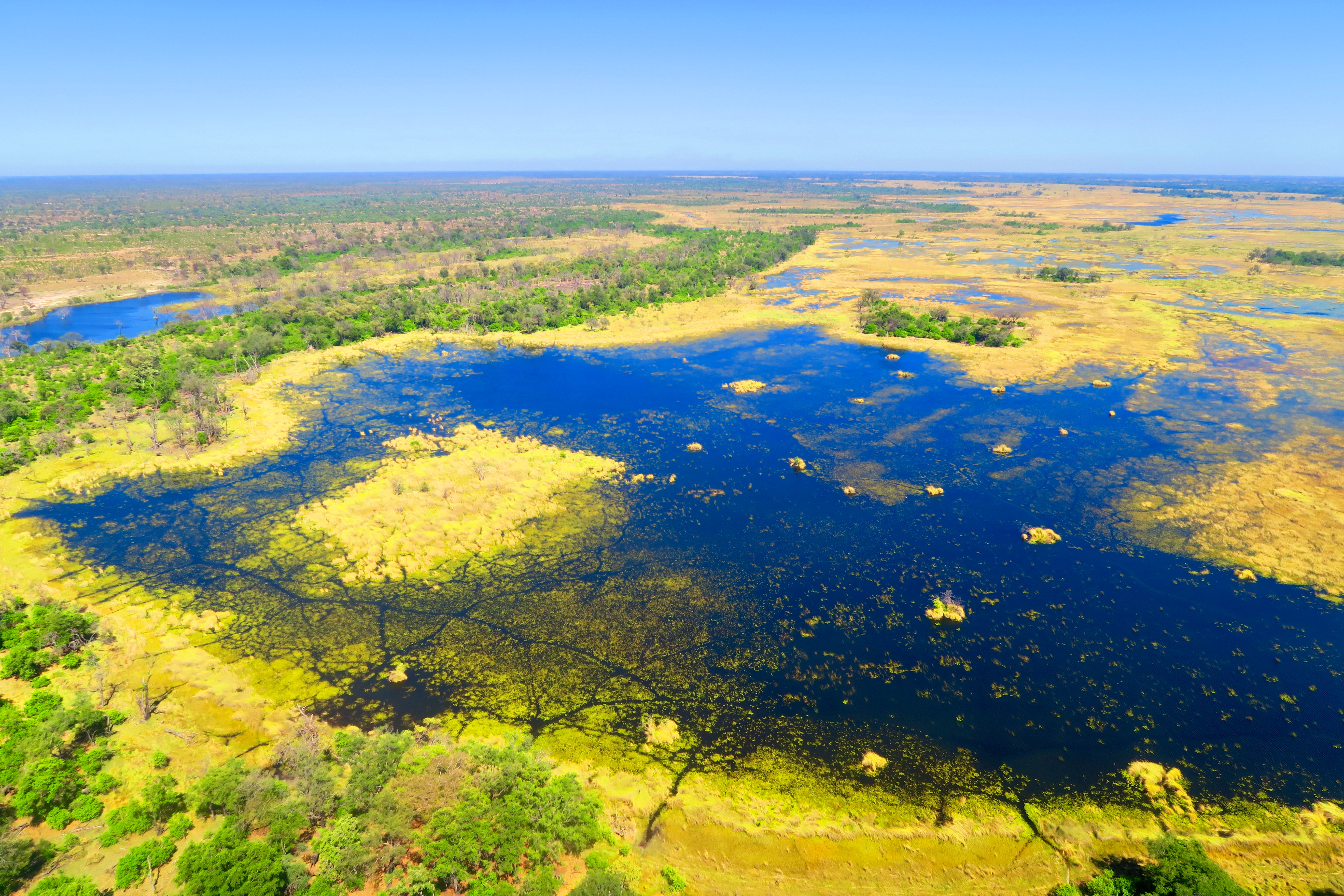 Okavango Delta