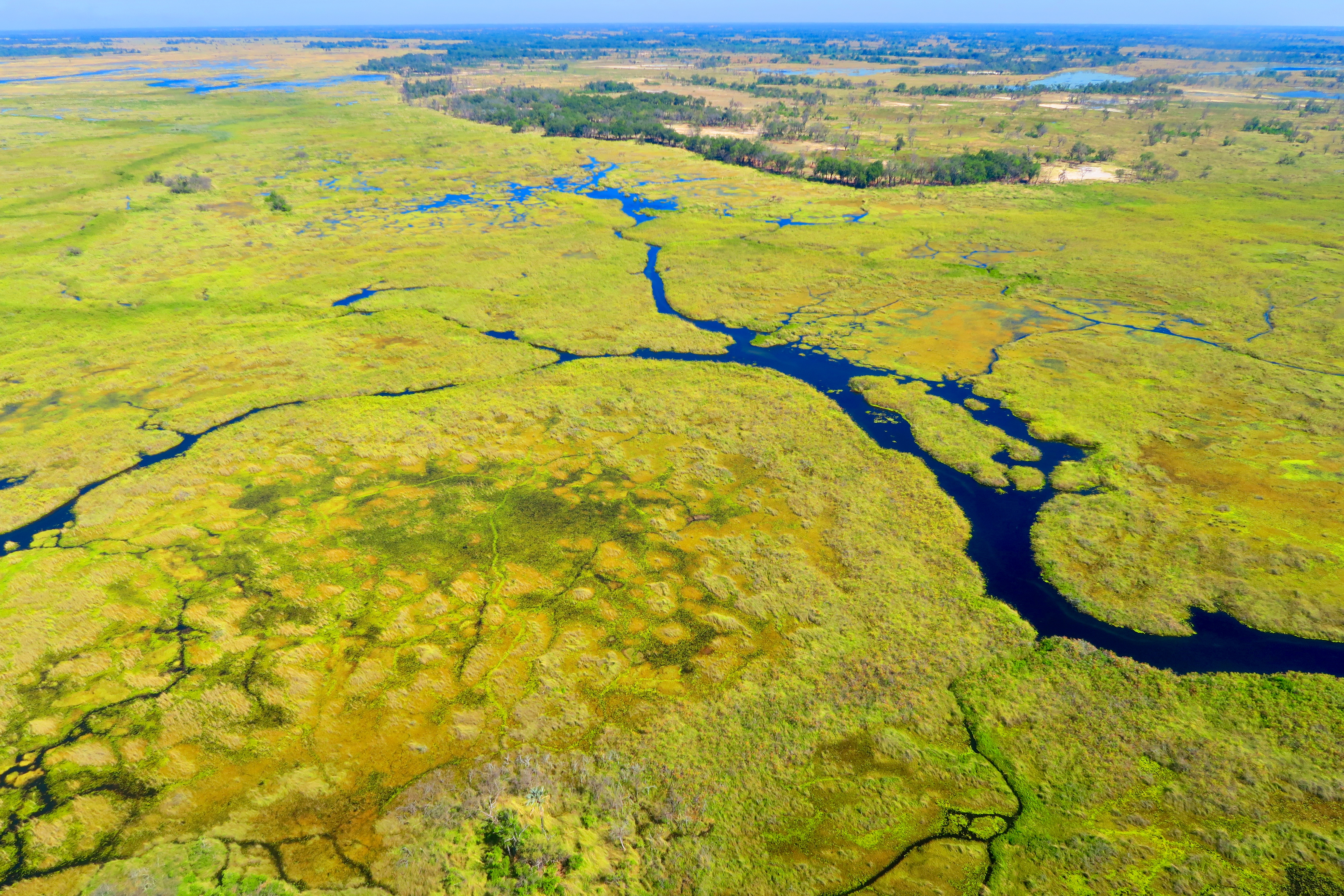 Okavango Delta