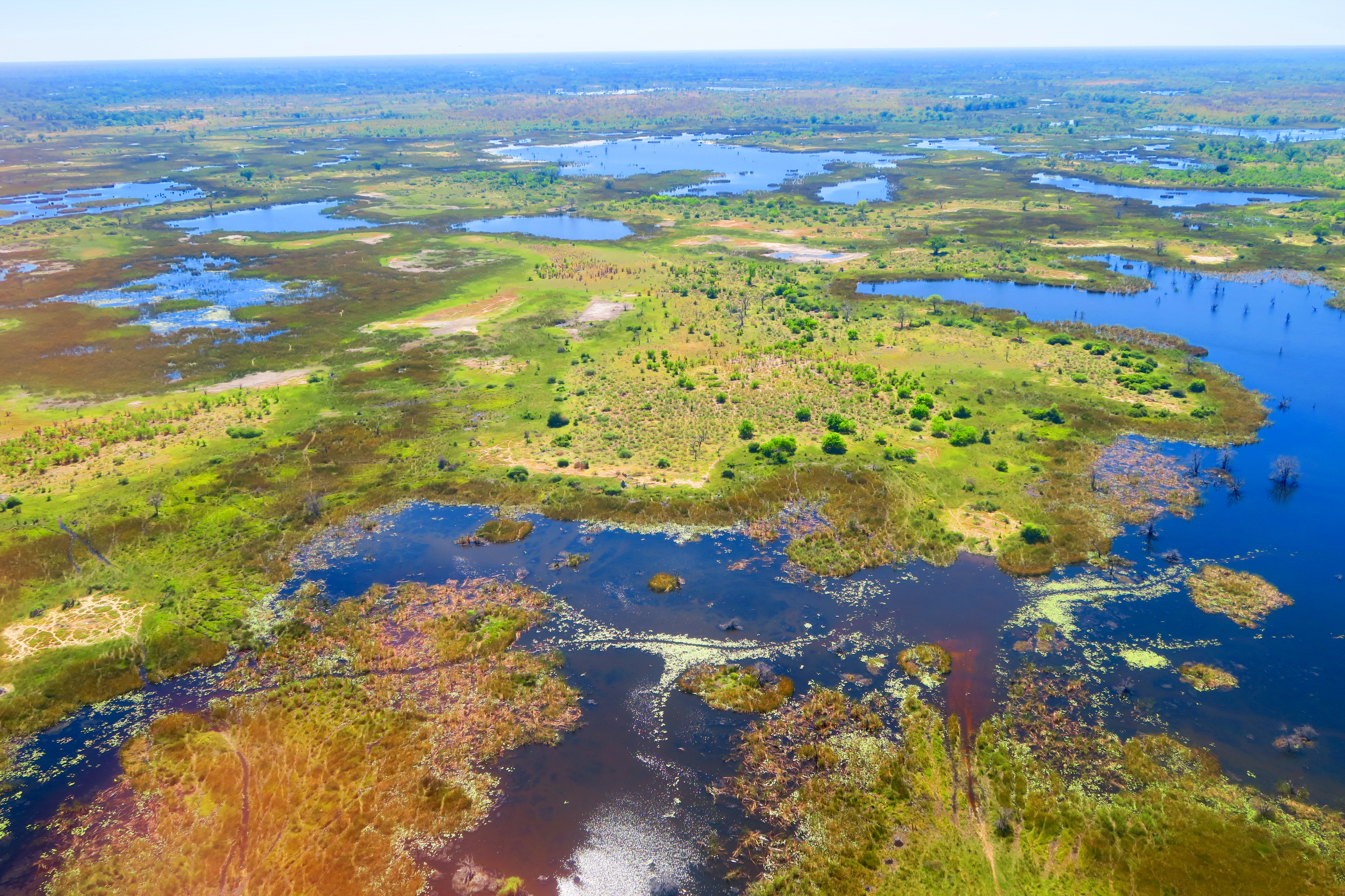 Okavango Delta