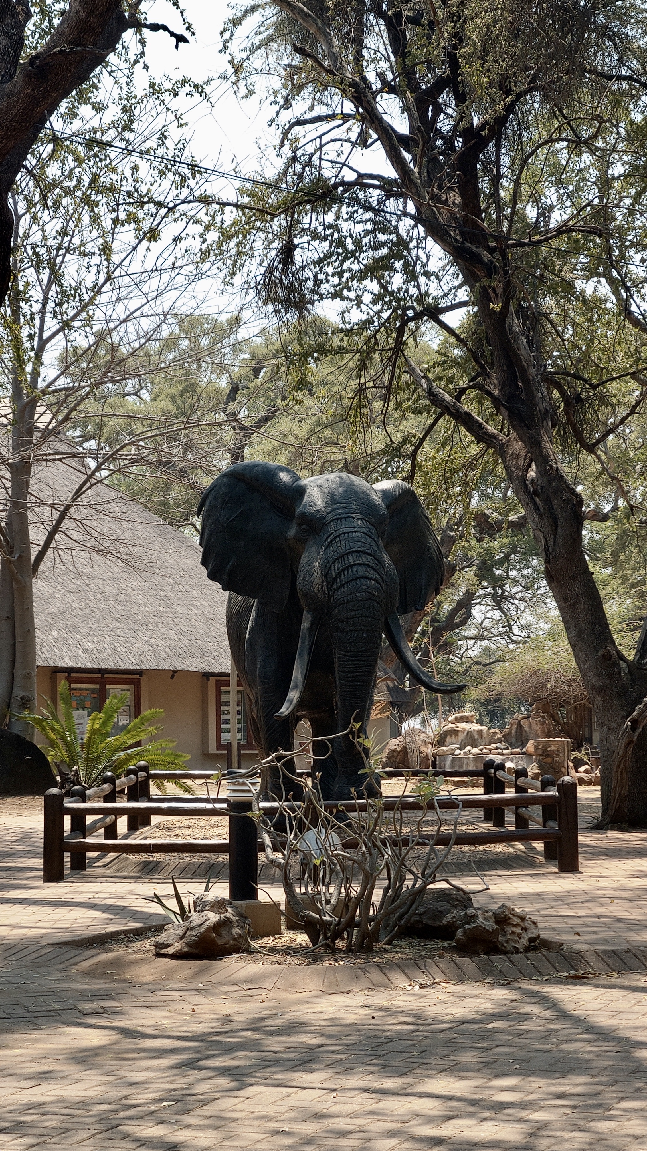 Letaba