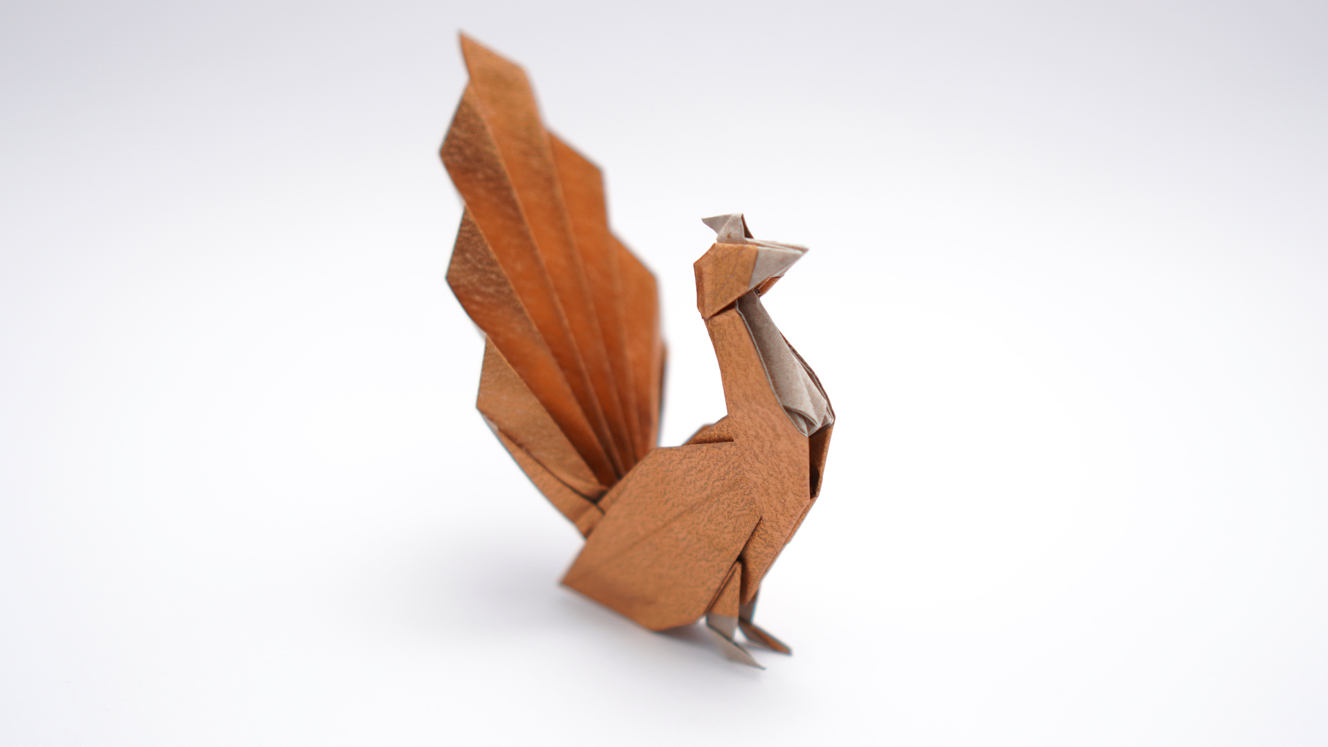 · now cut a square out of this paper. Origami Peacock V2 Jo Nakashima