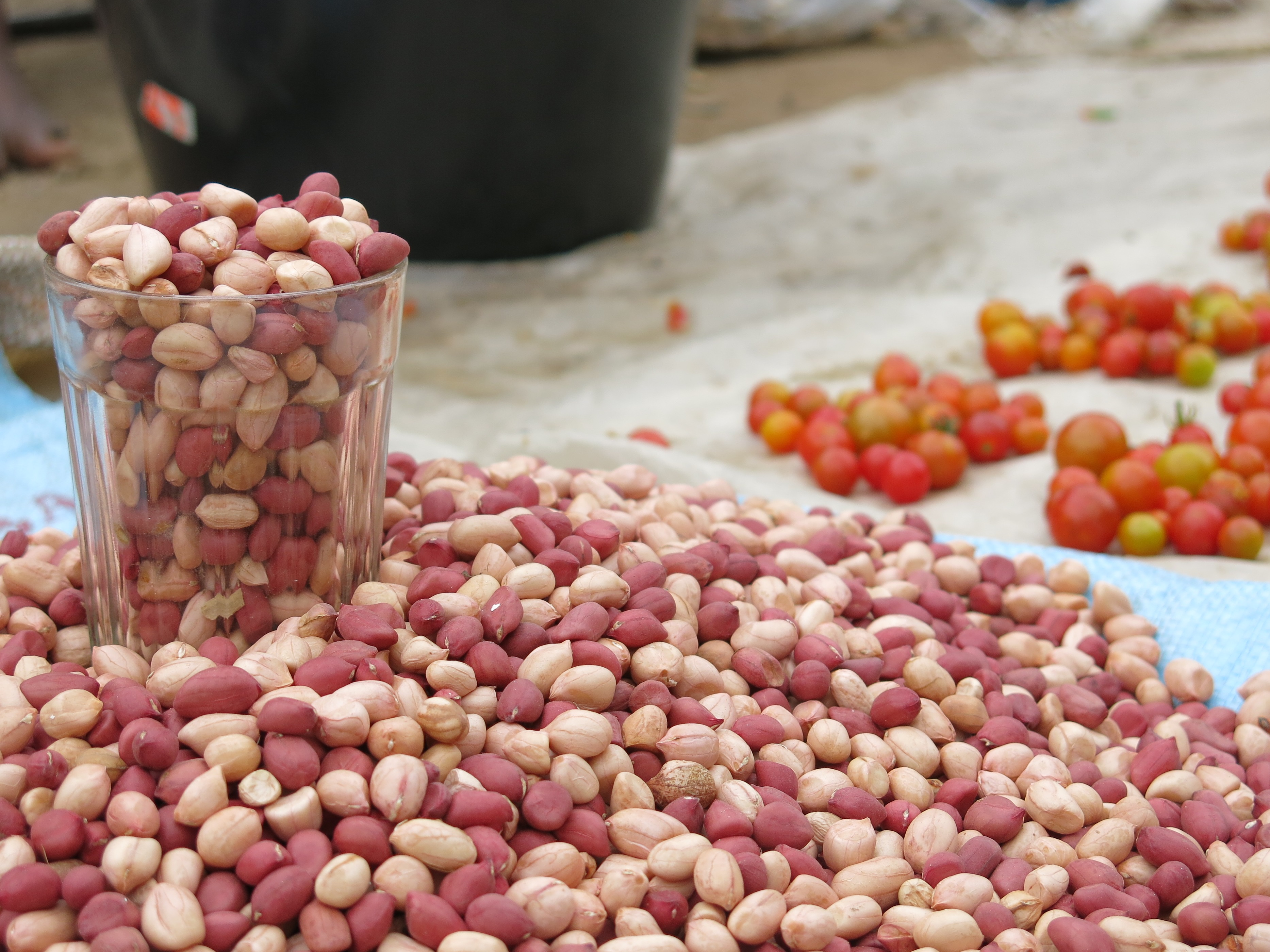 Die Erdnuss- und Tomatenverkäuferin kann sich keinen eigenen Stand leisten. Sie breitet ihre Waren auf einem Tuch aus - und misst mit Gläsern à 200 Fr (15 Cent) ab