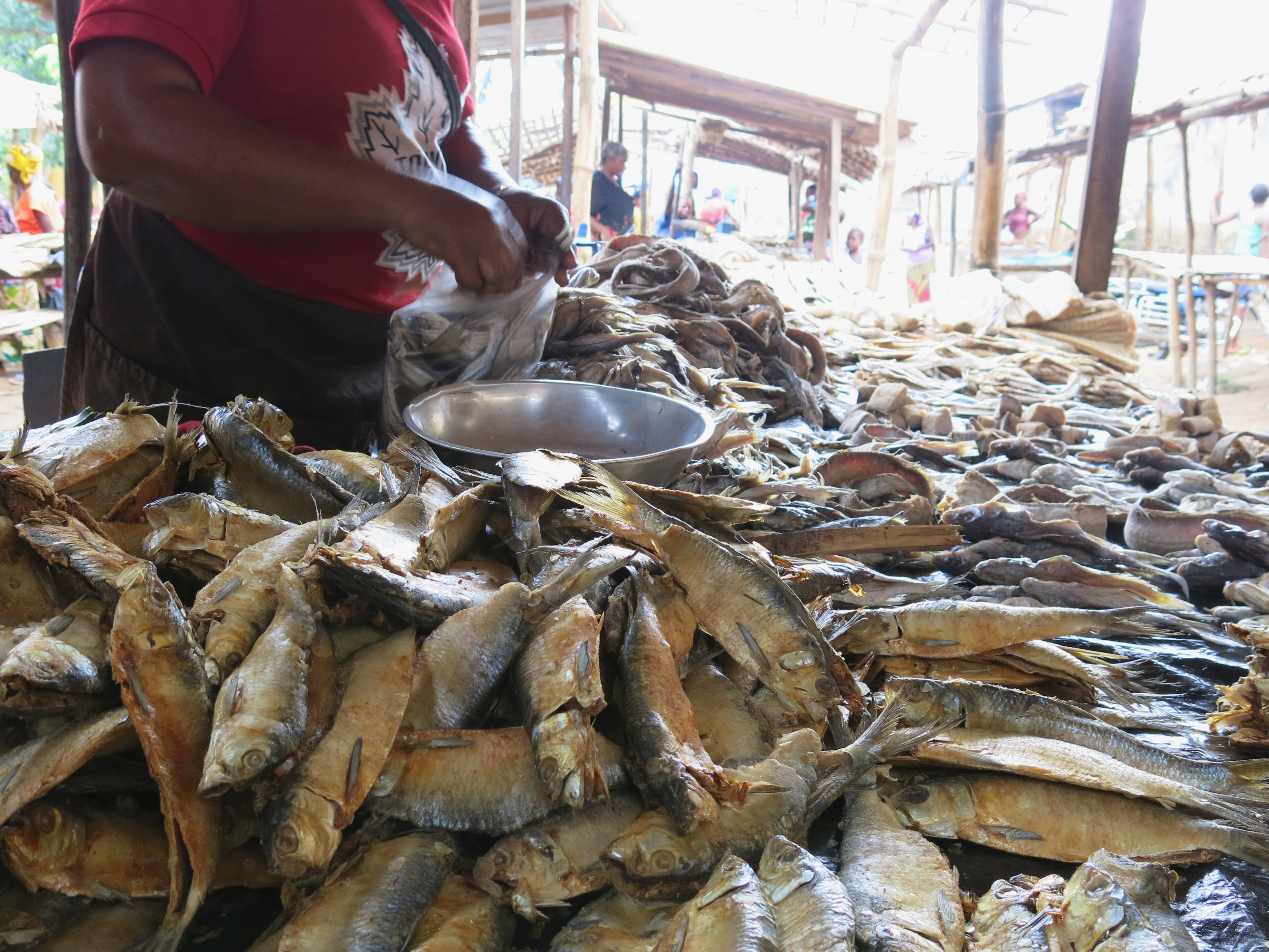 Es gibt nicht viel Fleisch zu kaufen - dafür umso mehr Fisch, der mit Salz und Chili konserviert wird. Zu kleineren Flüssen ist es nicht weit. Und der große Kongo-Fluss ist nur 80 Kilometer entfernt. Und dort legen auch Schiffe mit Fischen aus dem Ozean an
