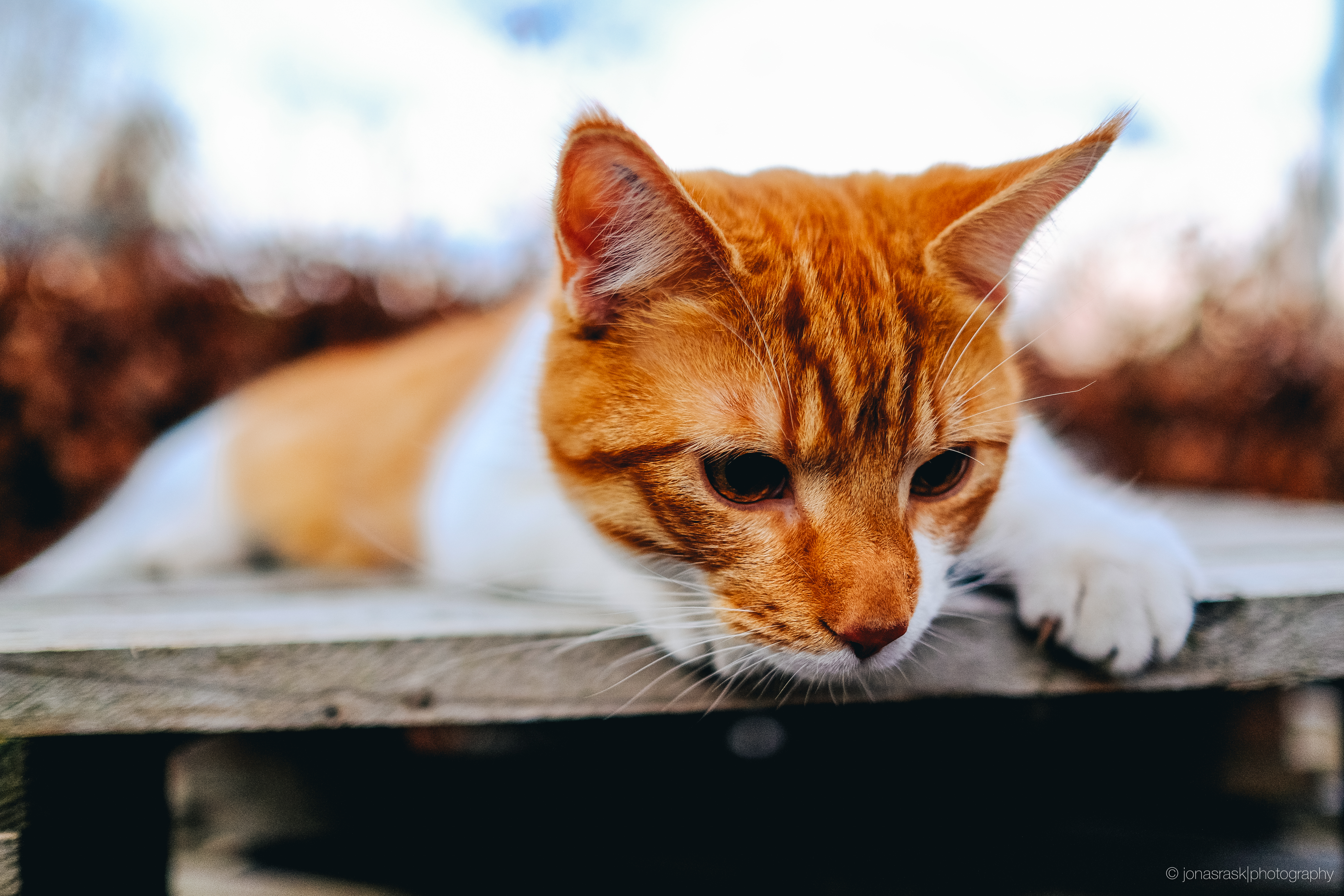 XF23mm f/1.4 ISO640 - Velvia