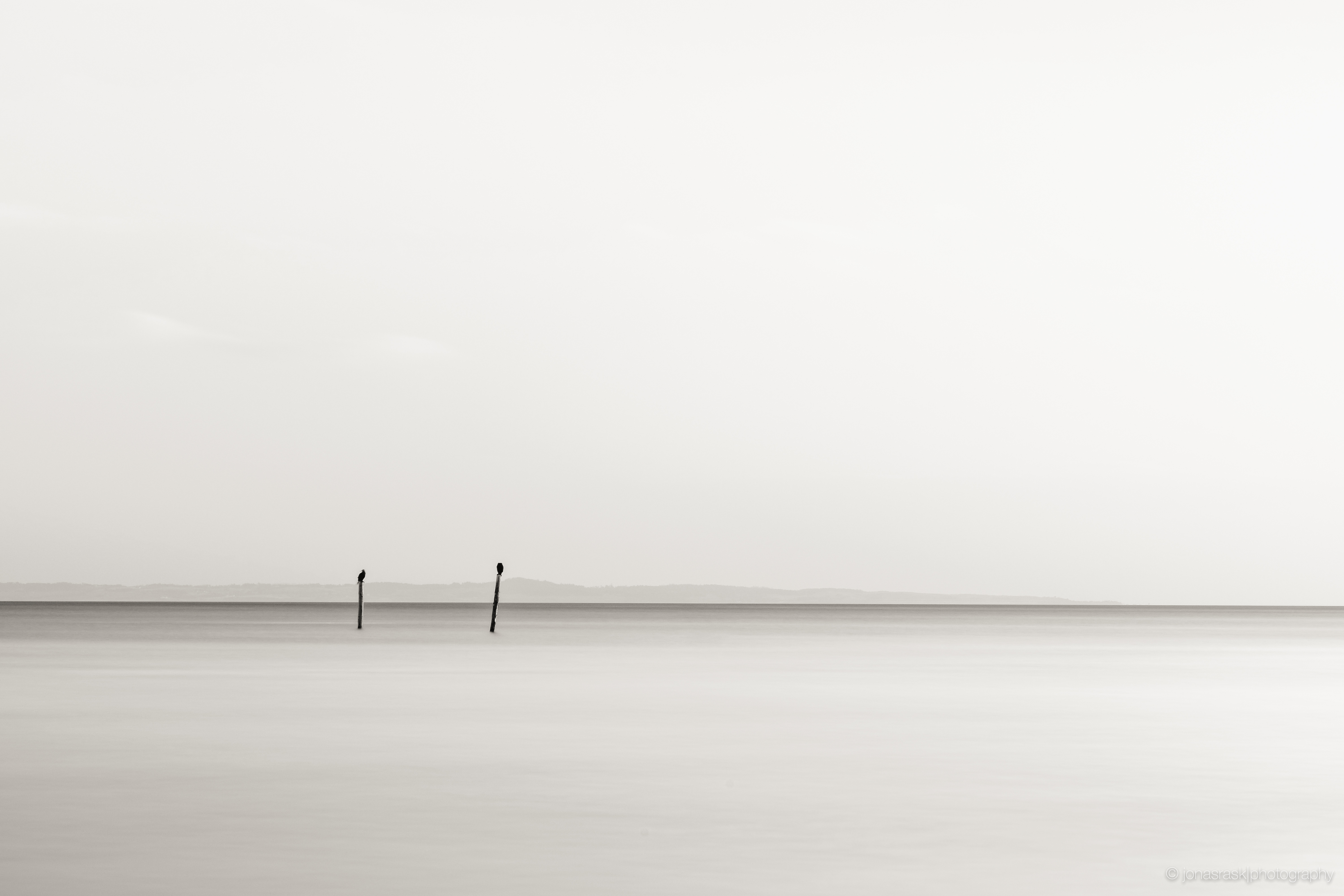 XF90mm f/8 ISO200 - Acros