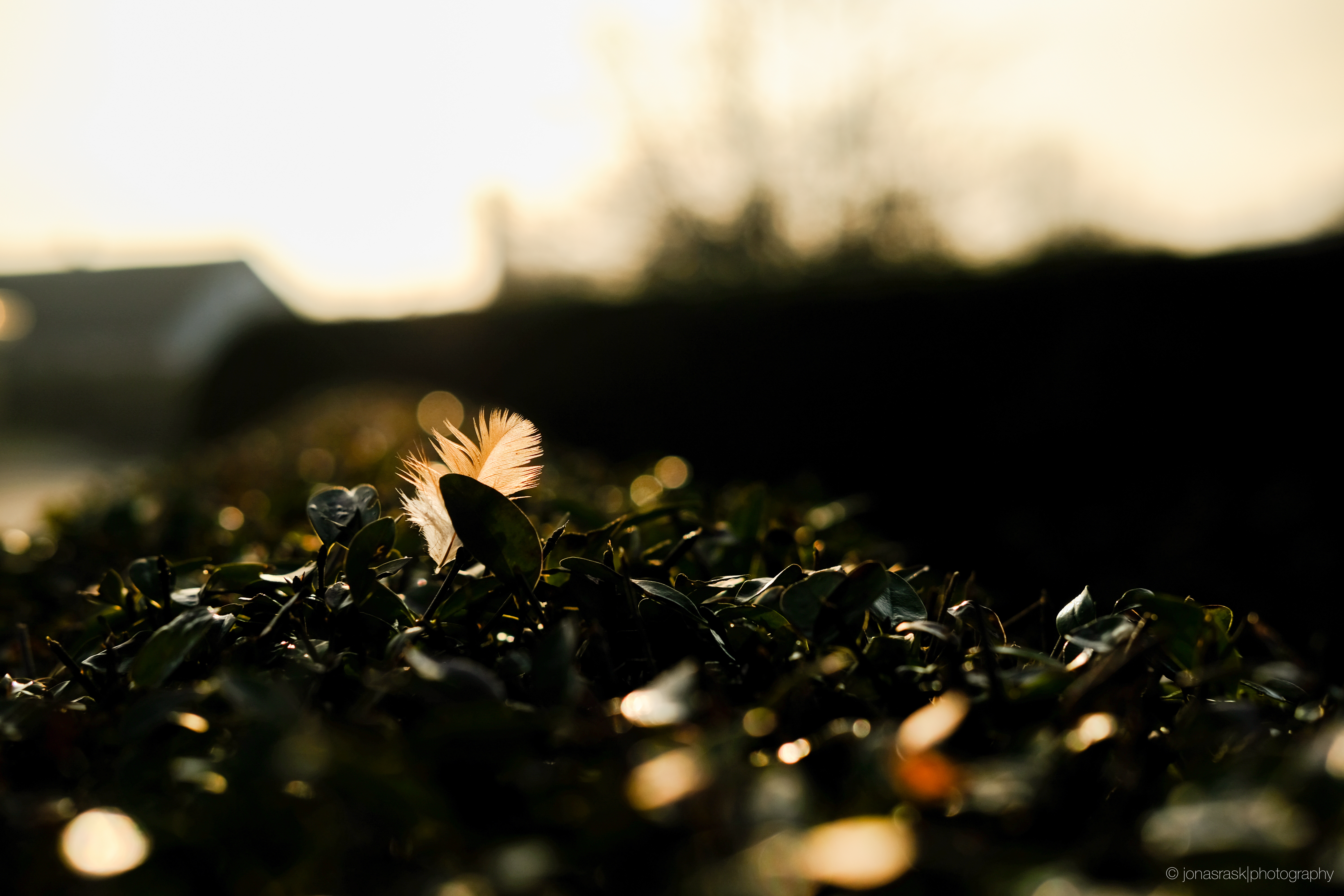 XF35mm f/4 ISO200 - Classic Chrome