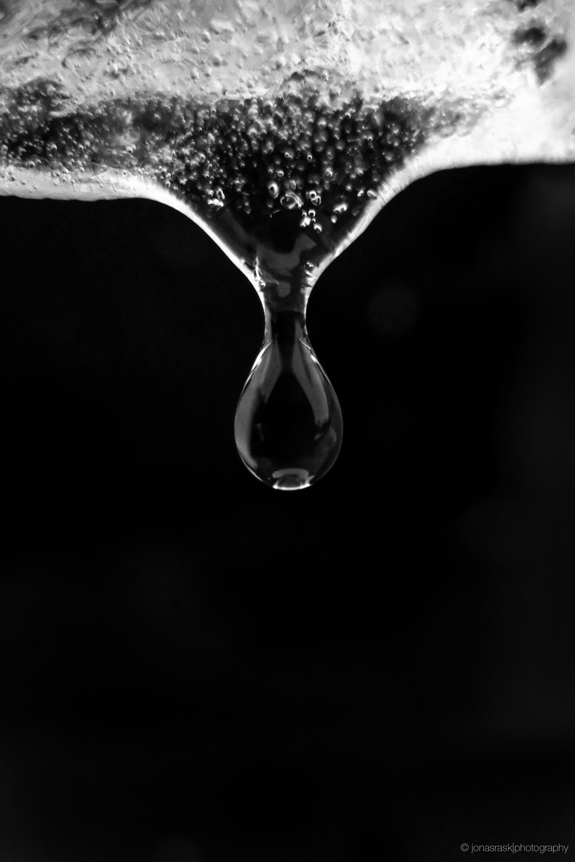 XF23mm + MCEX11 1/2000s f/4.0 ISO3200