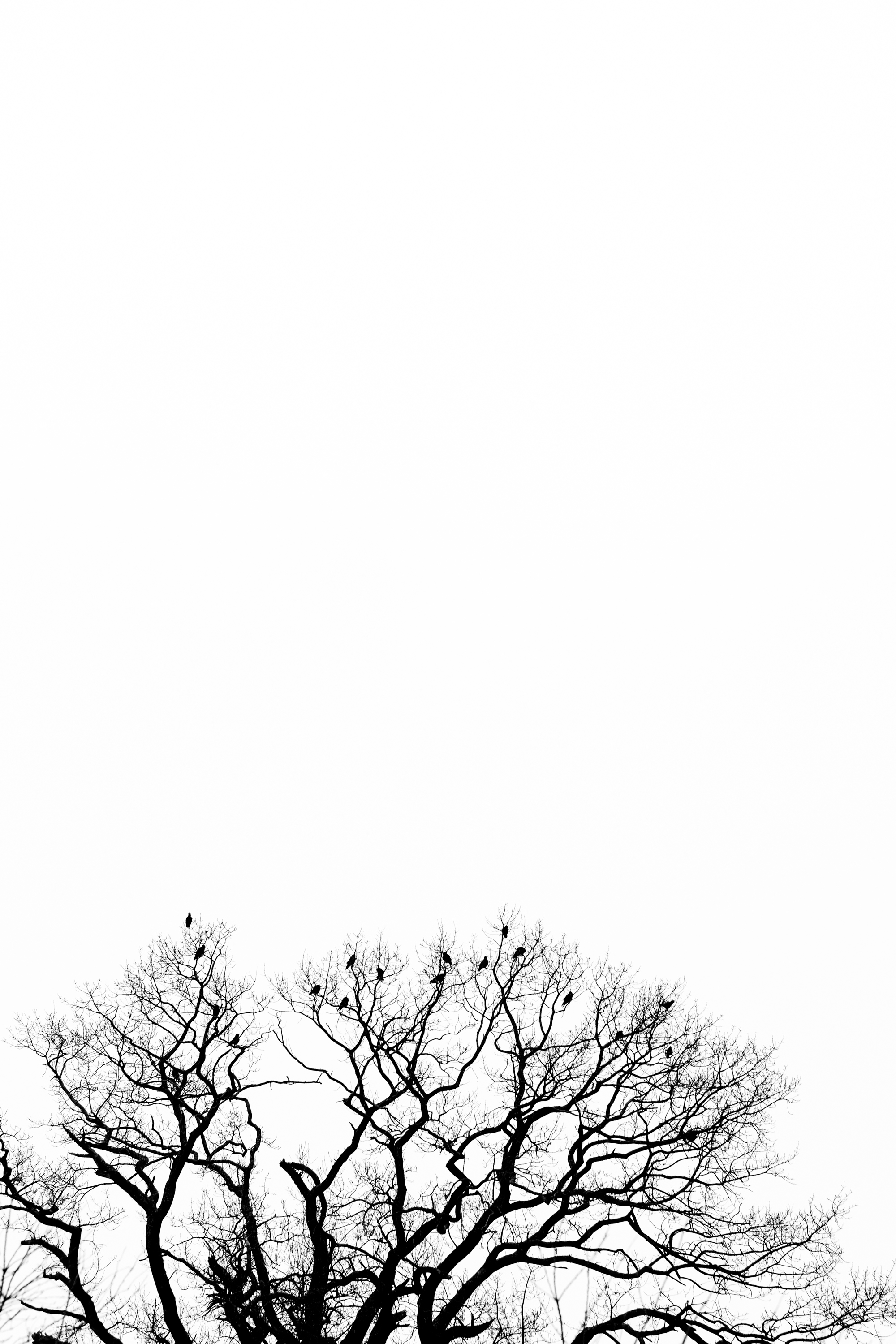 DSCF2232