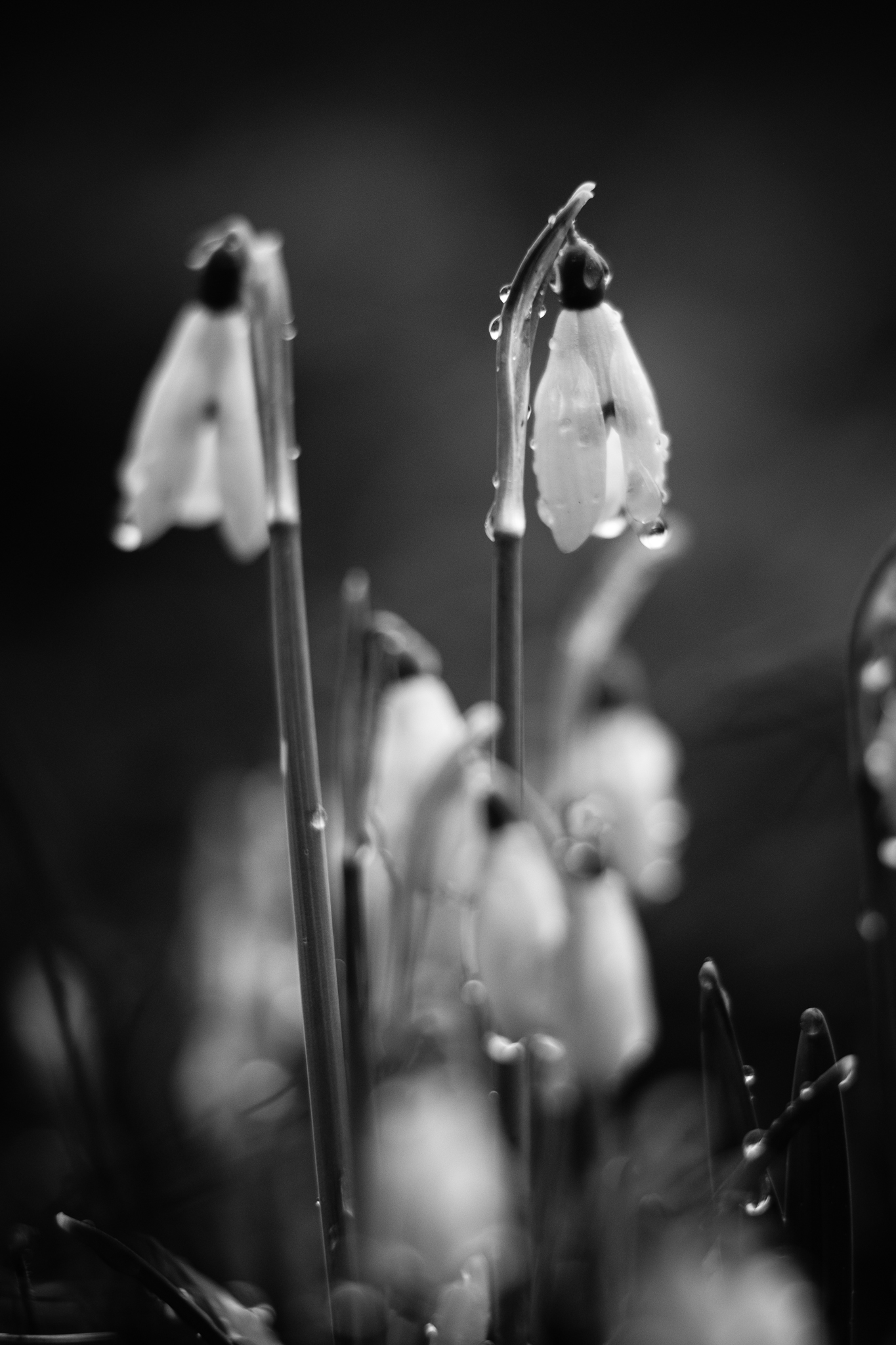 DSCF0597