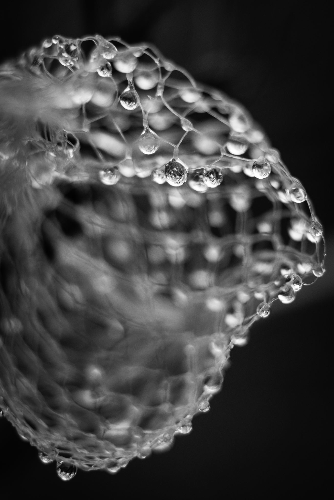 DSCF0602