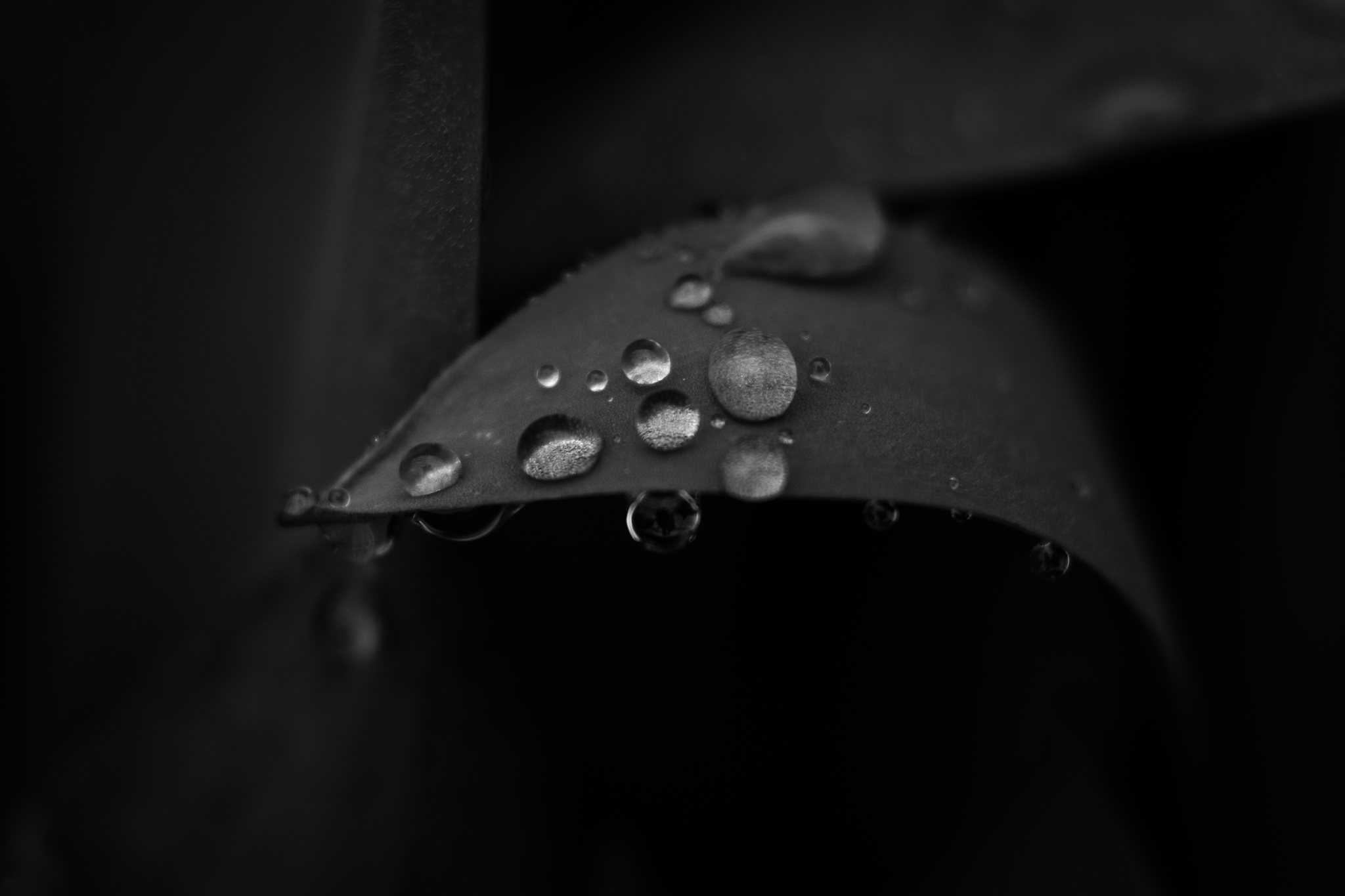 DSCF0604