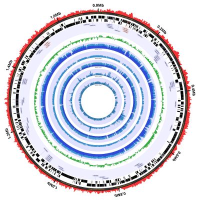 Github Willros Bam2plot Make Coverage Plots From Bam Files - Premium Minimal Photo Gallery - Desktop
