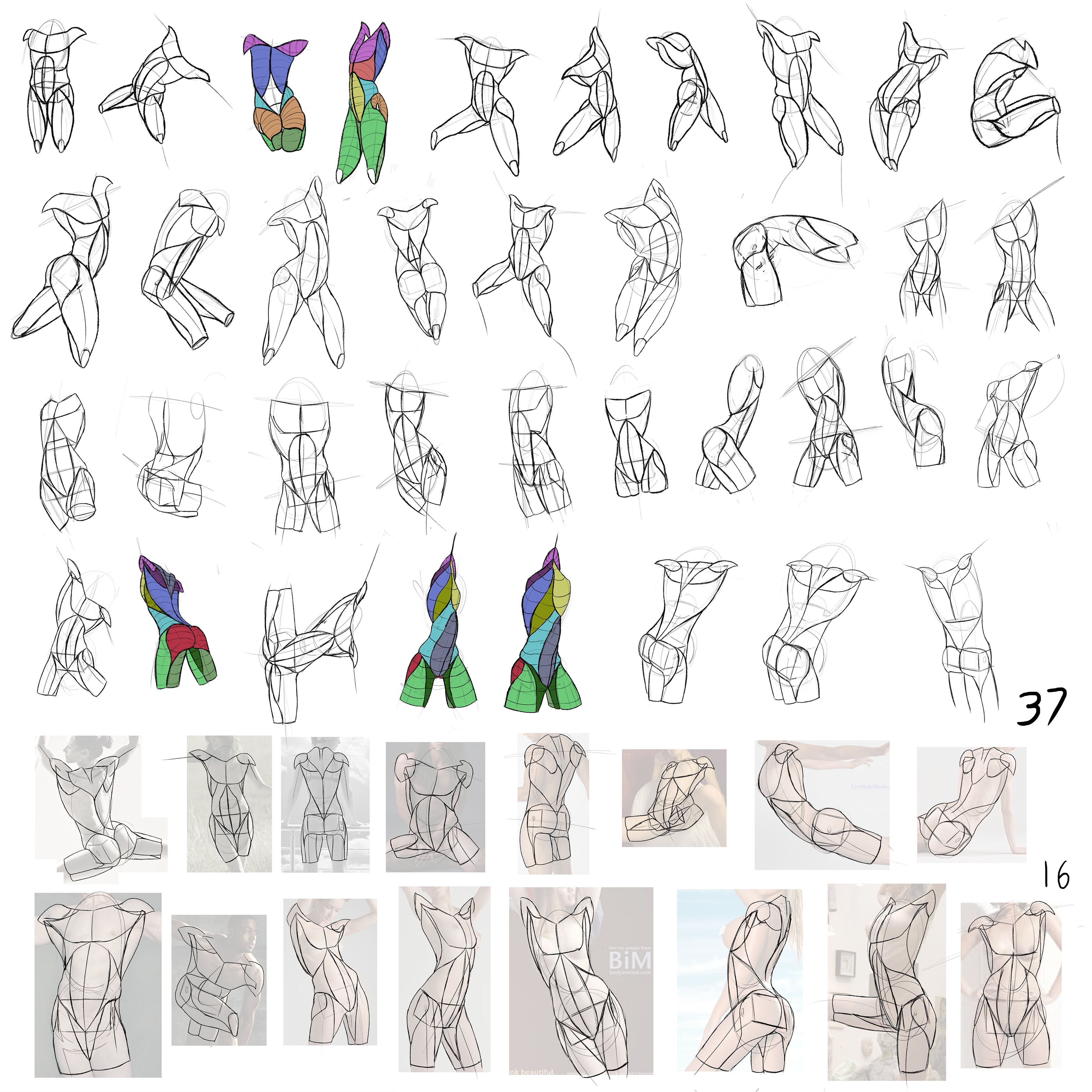 5_19_500Torso_Study2