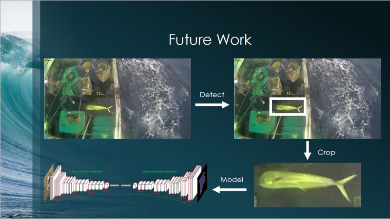 Github Olumideomololu Fish Recognition With Neural Nets A Matlab - Amazing Mobile Light Wallpapers | Free Download