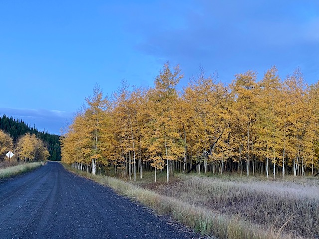 Hiking in the Early Snow of Colorado – JONATHAN TURLEY
