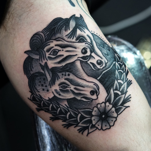 Pharaoh's Horses Tattoo: – All Things Tattoo 500_x_500_jpg