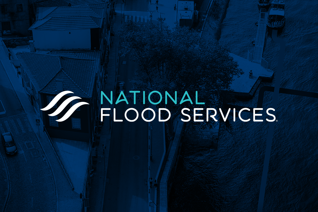 02_NFS_web-002