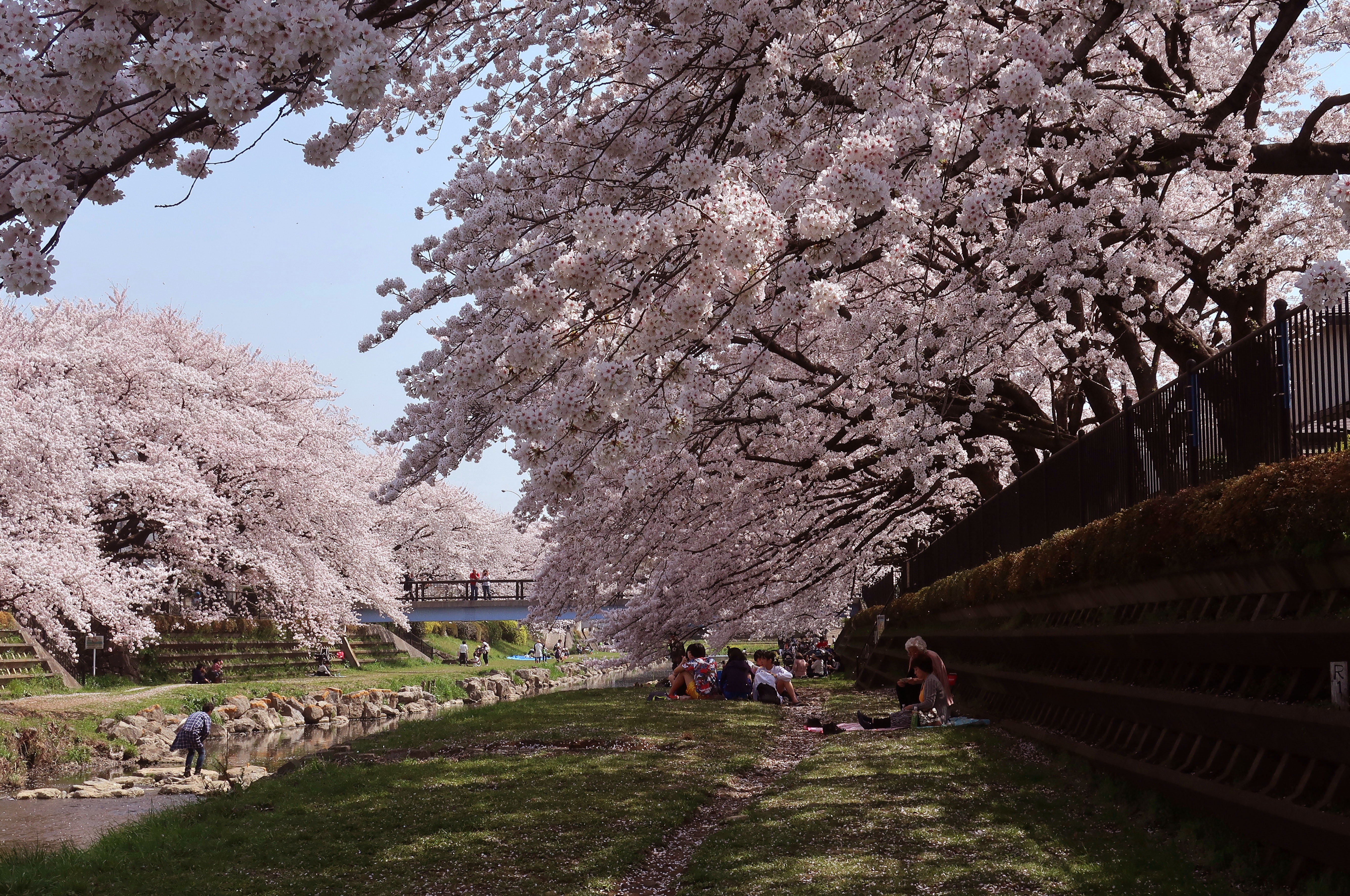 jindai18.jpg?fit=1200,797&ssl=1