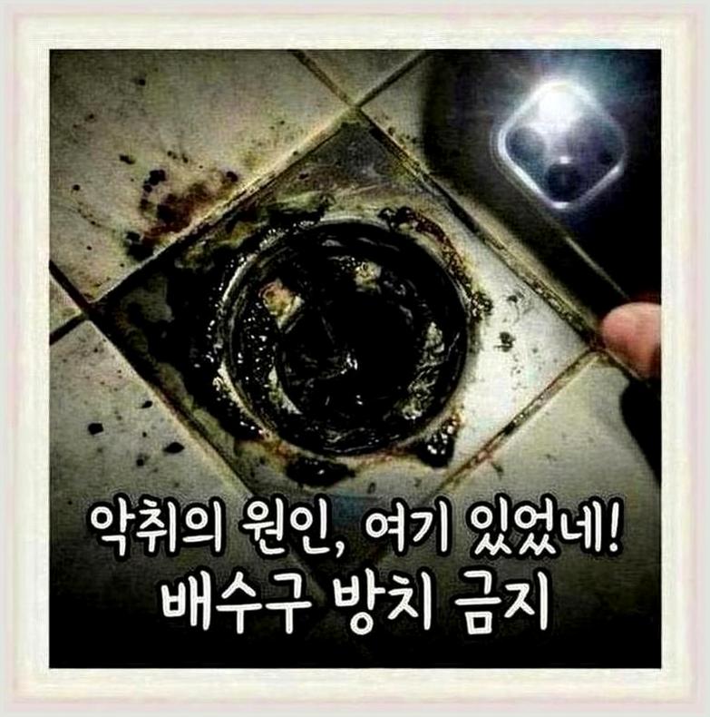 인천남동구간석동욕실역류할때조치방법 작업 사진