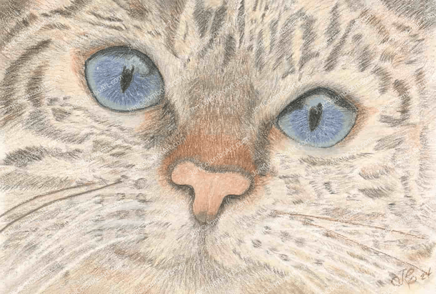 Tabby