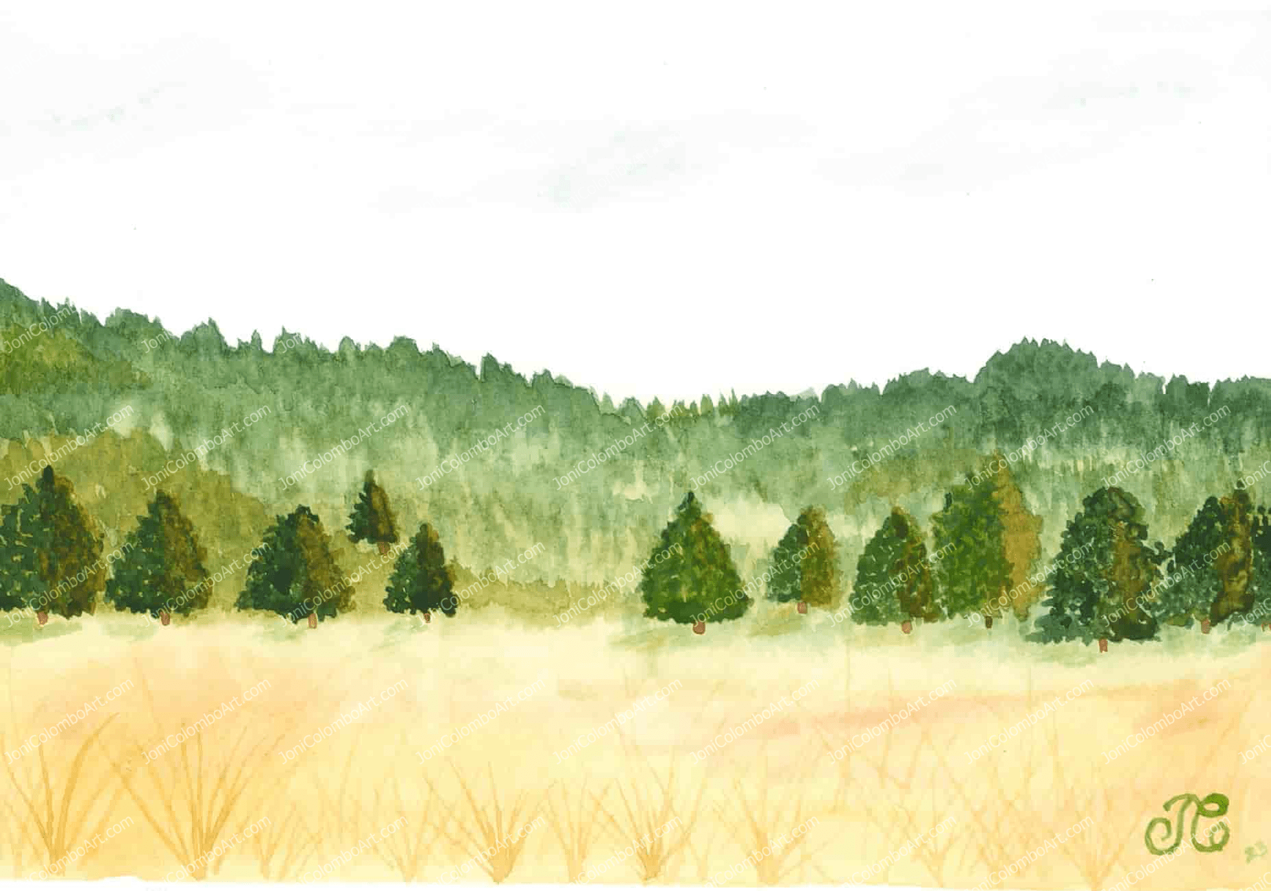 Quiet Field