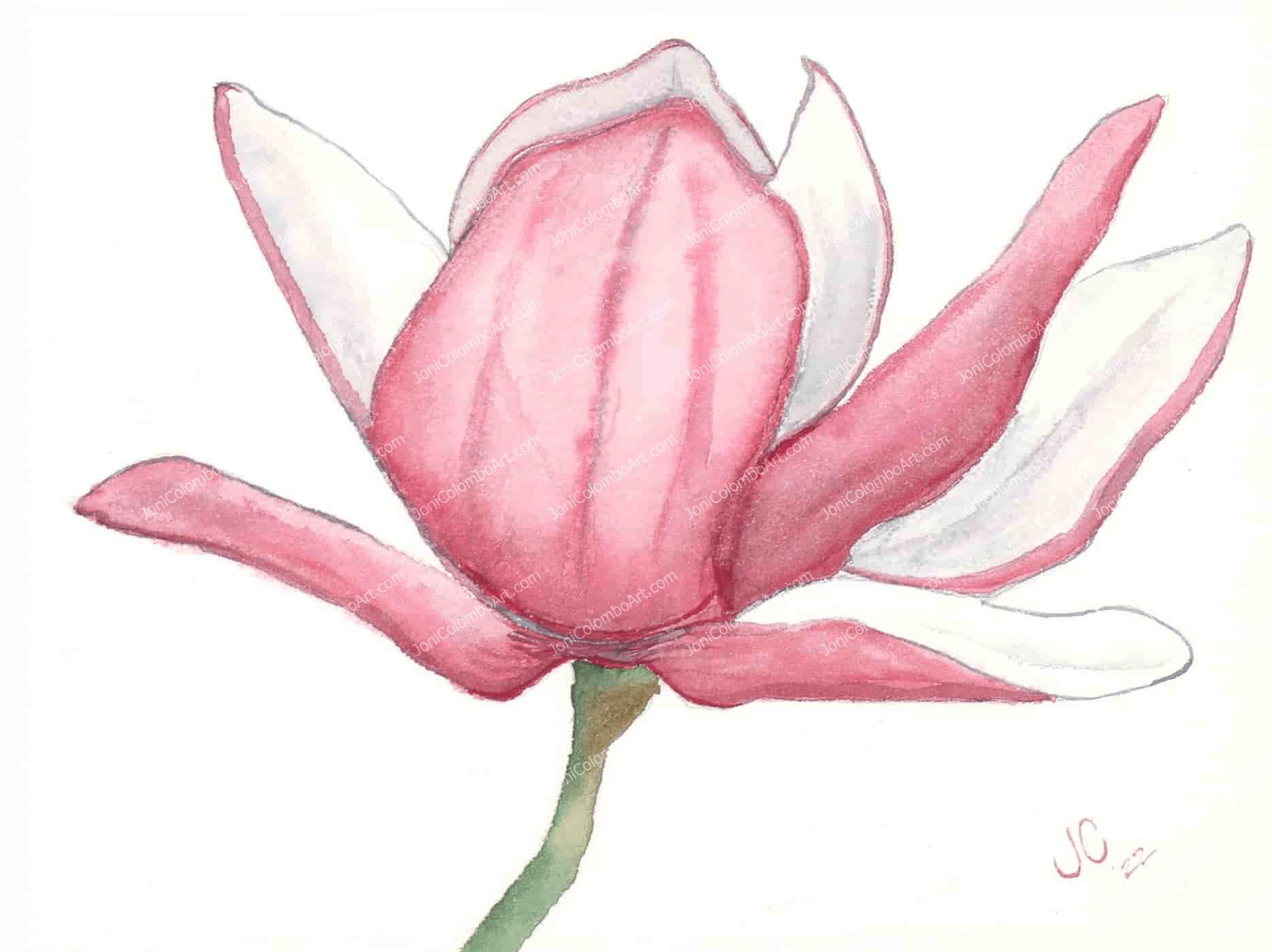Spring Has Sprung