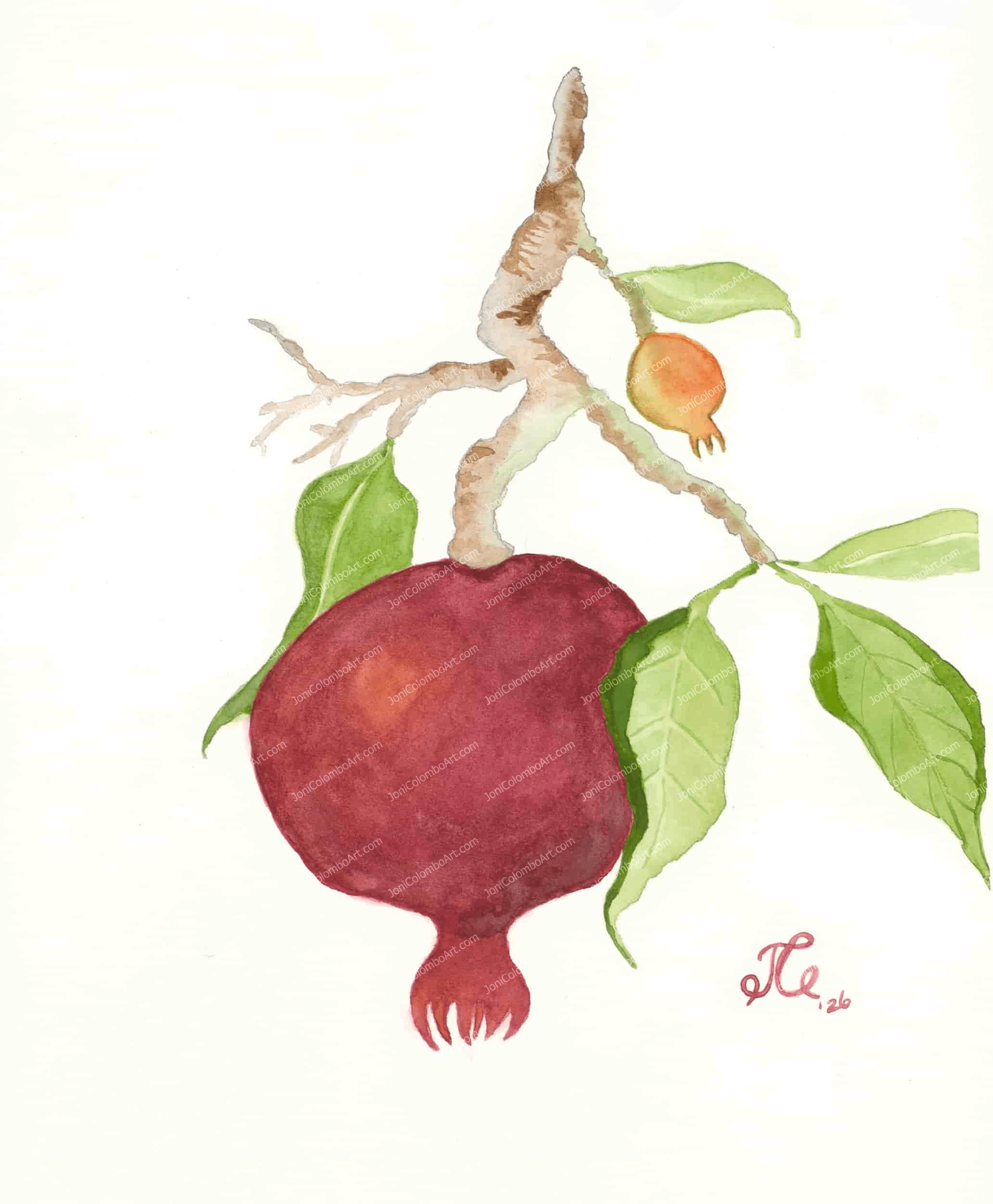Fresh Fruit