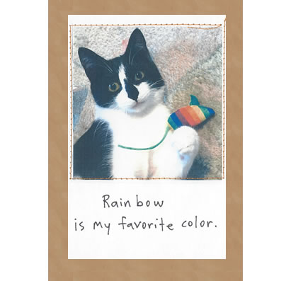 Rainbow Is My Favorite Color