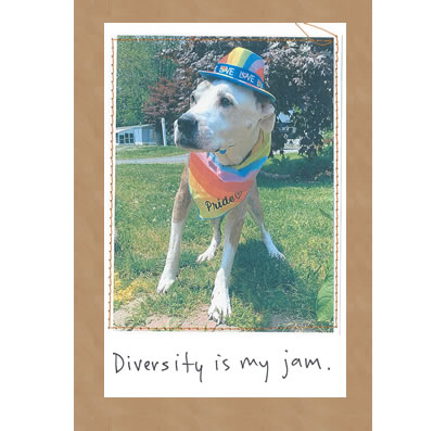 Diversity Is My Jam