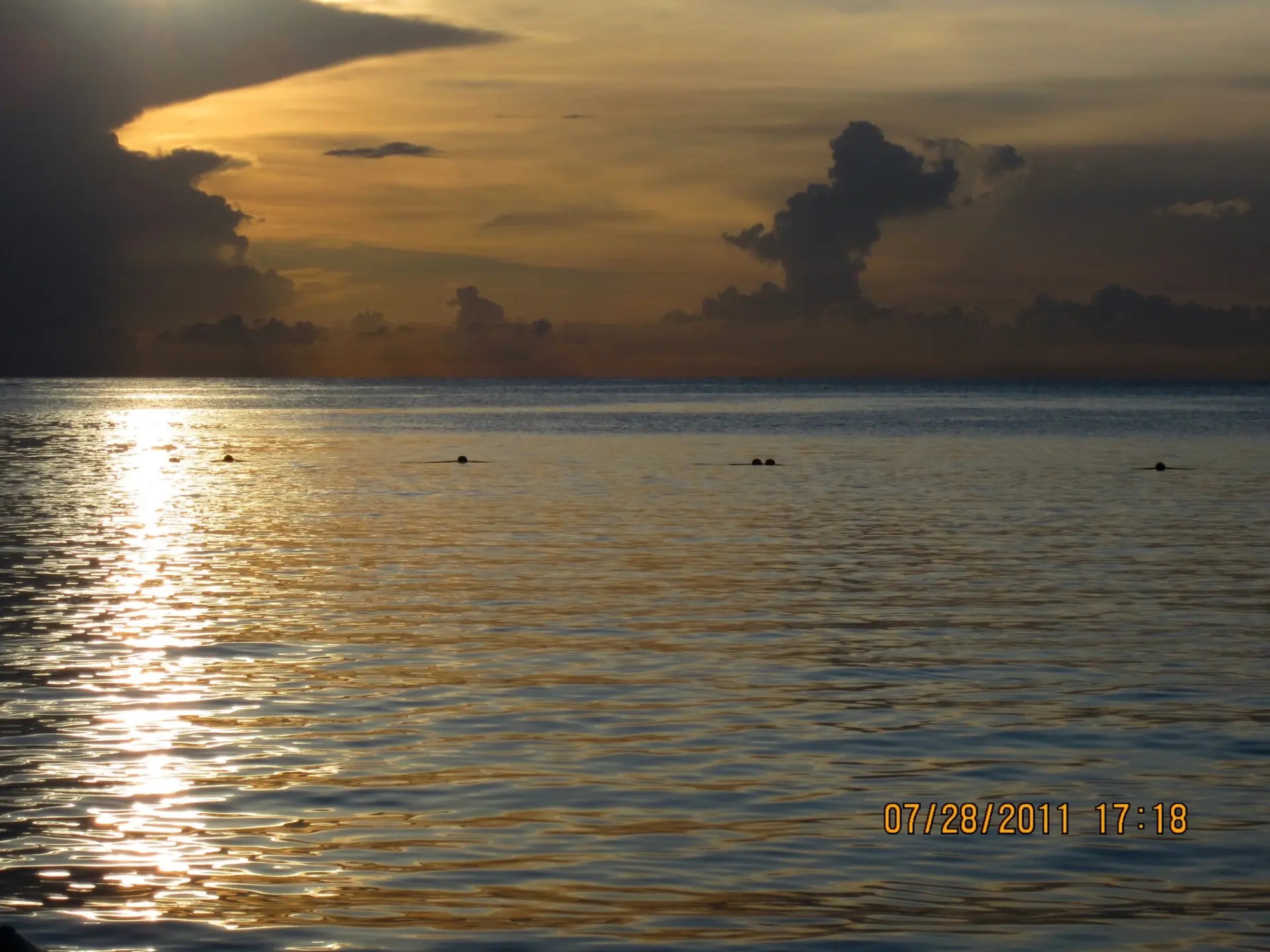 img 0631.webp
