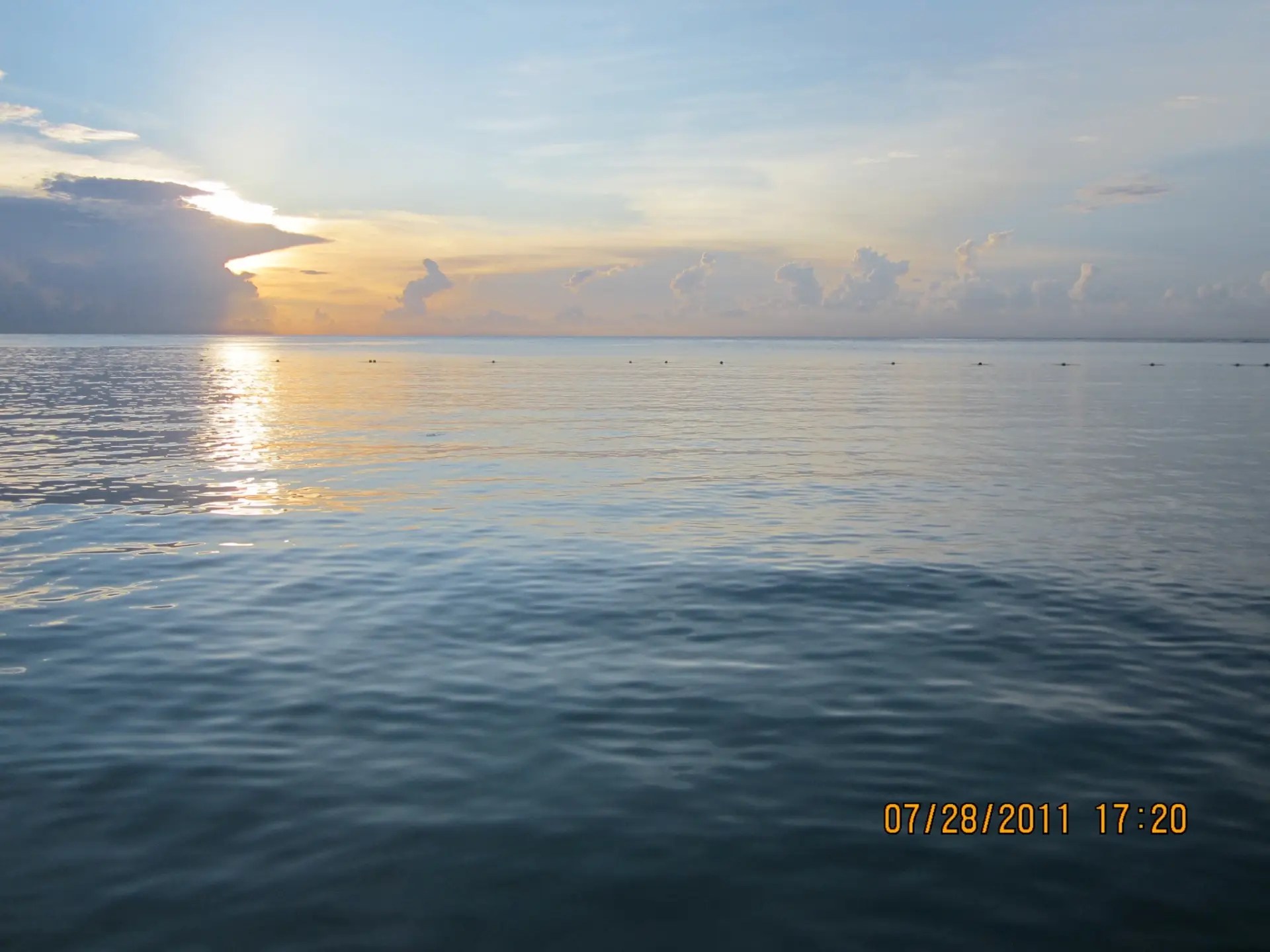 img 0636.webp
