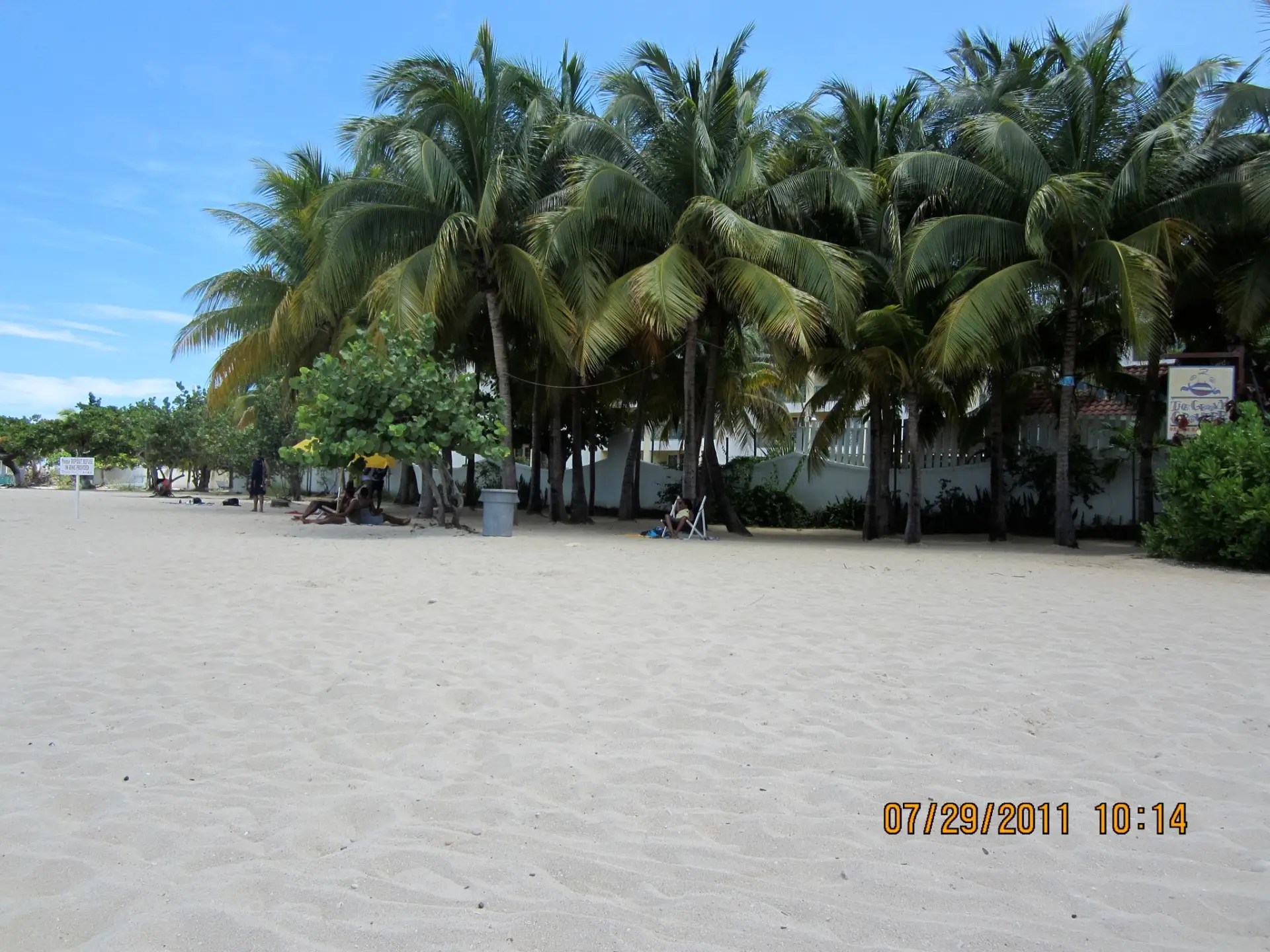 img 0678.webp