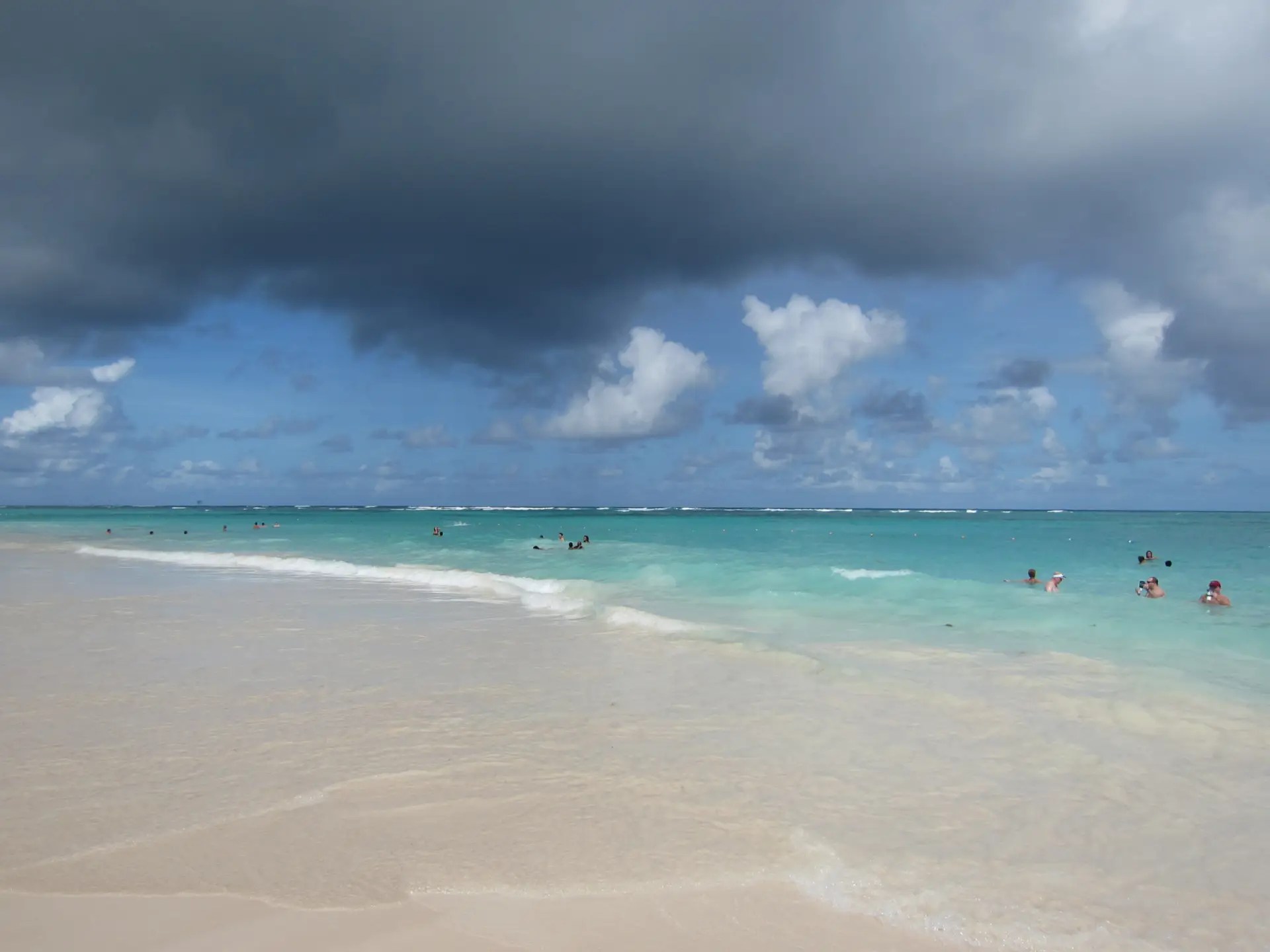 img 0852.webp