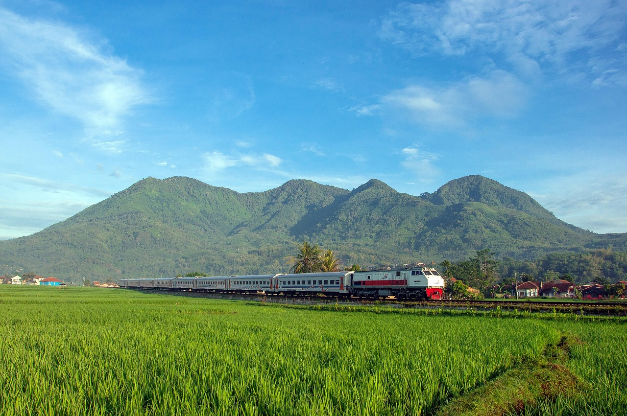 train, mountains, fields, rice fields, rice plantation, rice farm, rice paddies, railway, railroad, railway system, passenger train, transport, rural, countryside, landscape, nature