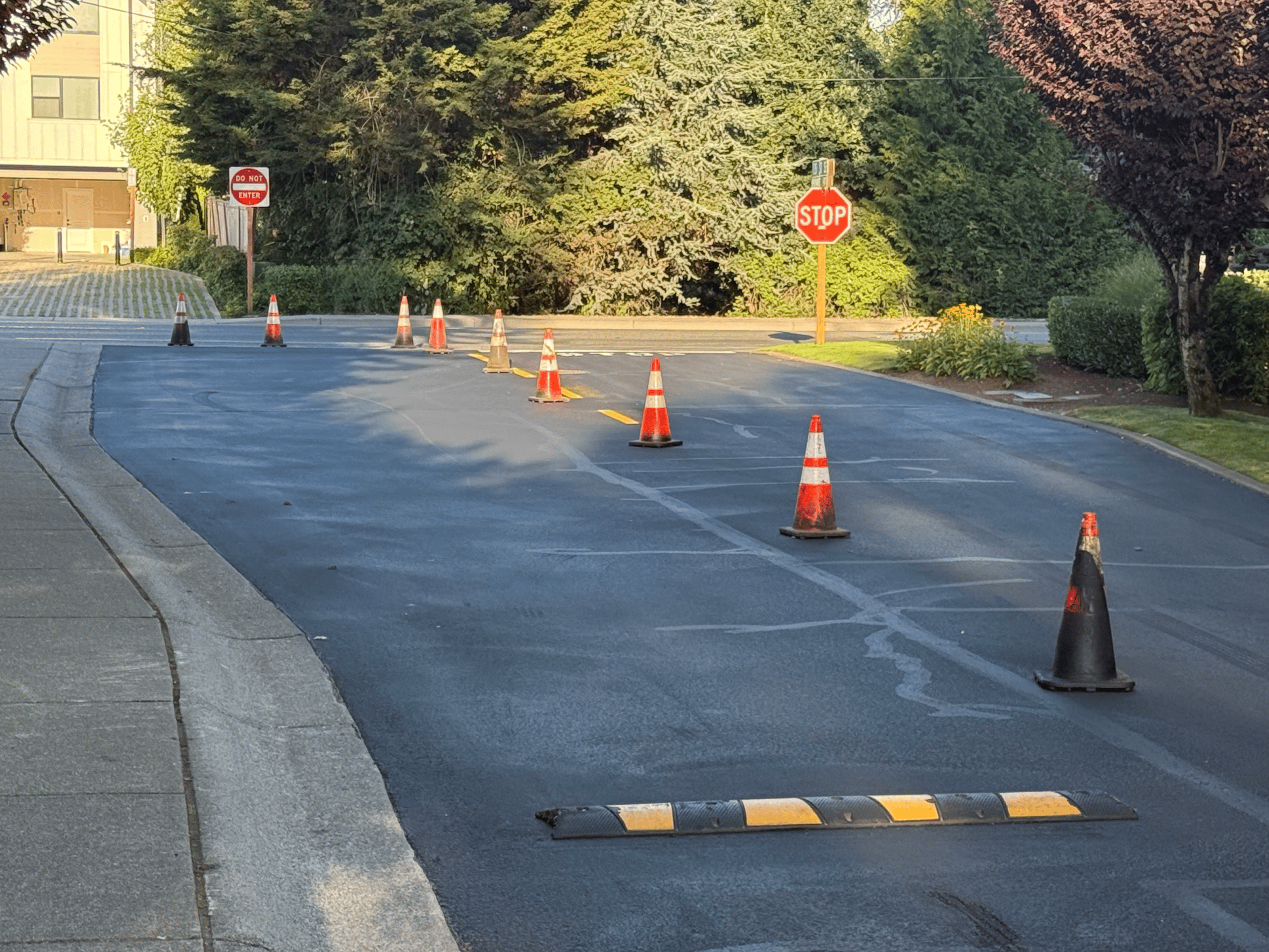 A Change Management Lesson from My Neighborhood’s Paving Disaster