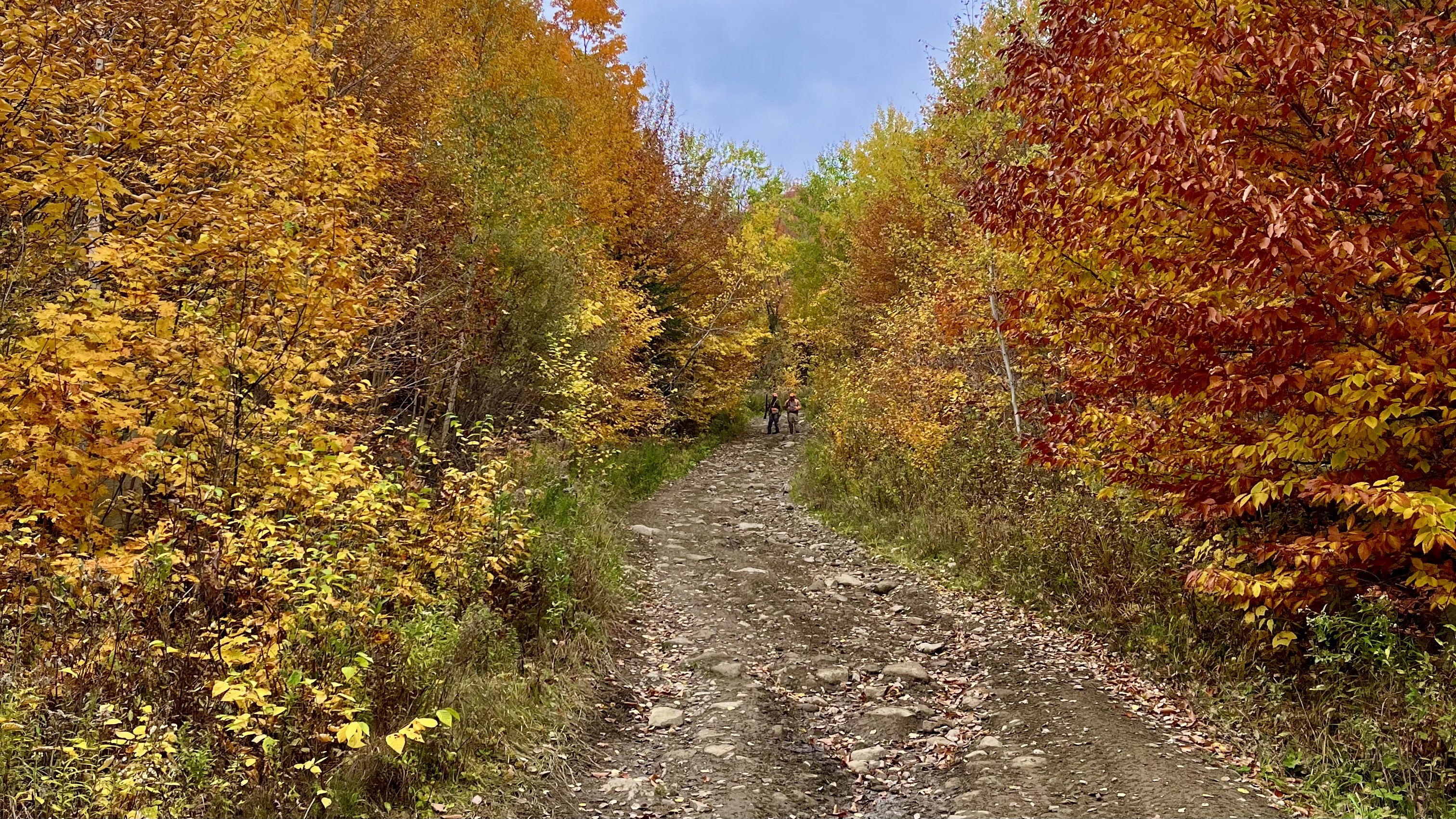 If You Want to Be a Great Leader Try Following