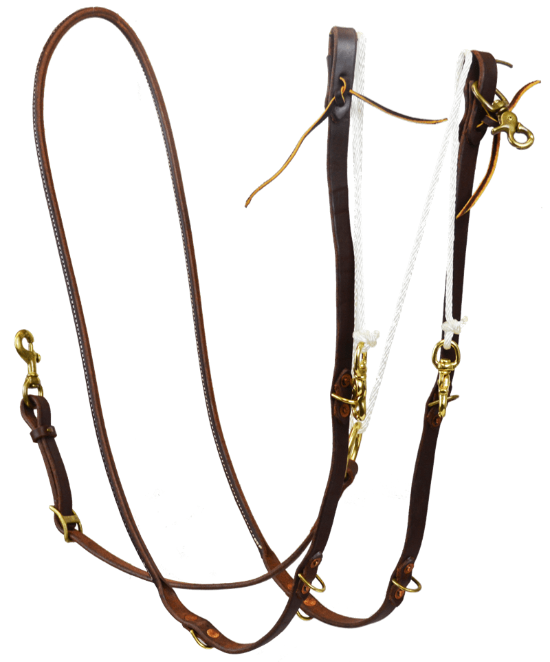 Martingales | German Martingale | Working Horse Tack in Ohio