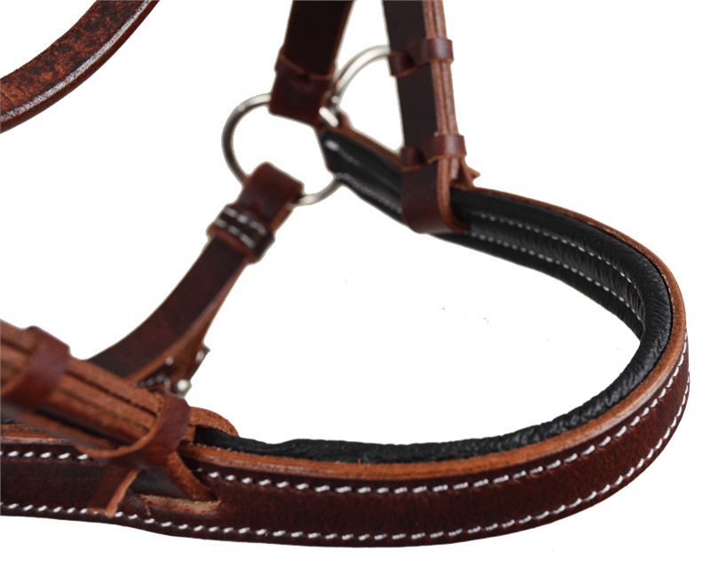 Latigo Leather Sidepull w/ Padded Noseband Jopps Tack