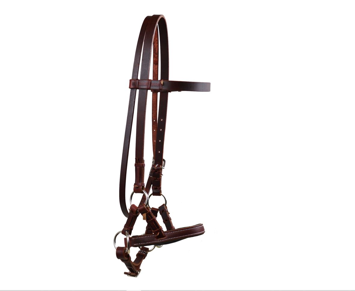 Latigo Leather Sidepull w/ Padded Noseband Jopps Tack