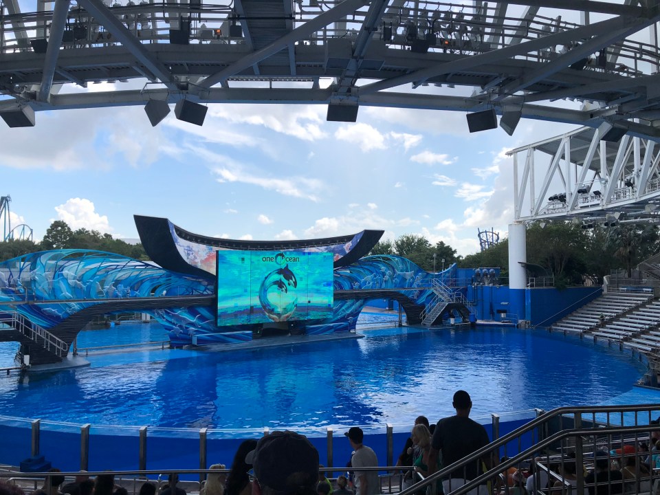 shamu stadium