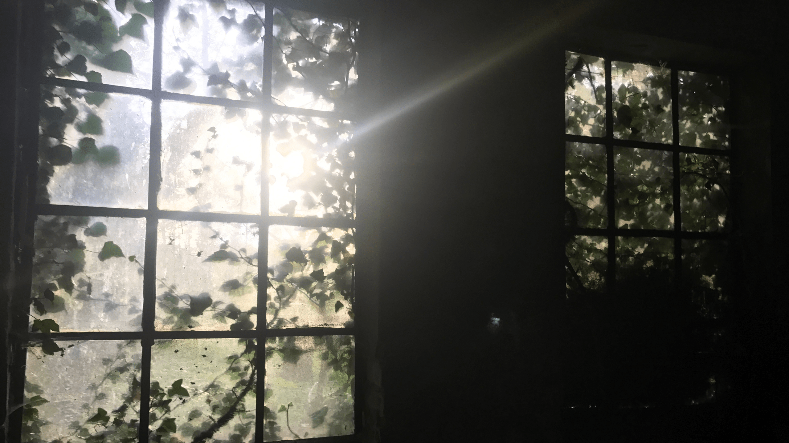 28 Years Later Review Window