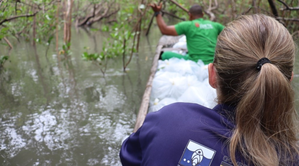 #Programa: Bahia Pesca e UFRB oferecem oportunidade a recém-formados em ciências agrárias