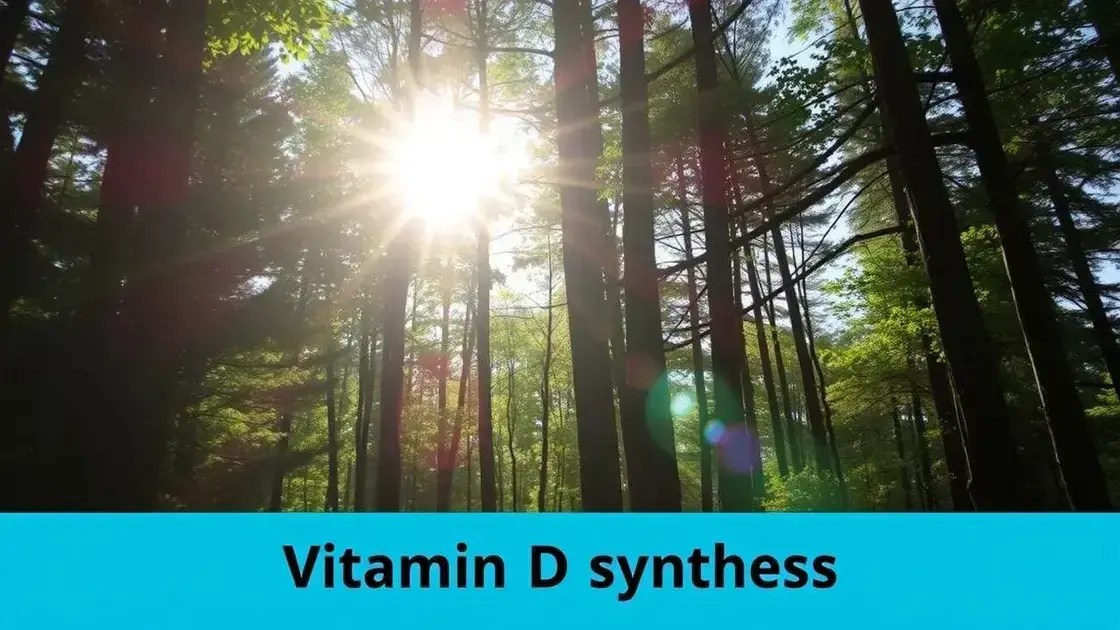 Importância da vitamina D: como obter e os benefícios para sua saúde