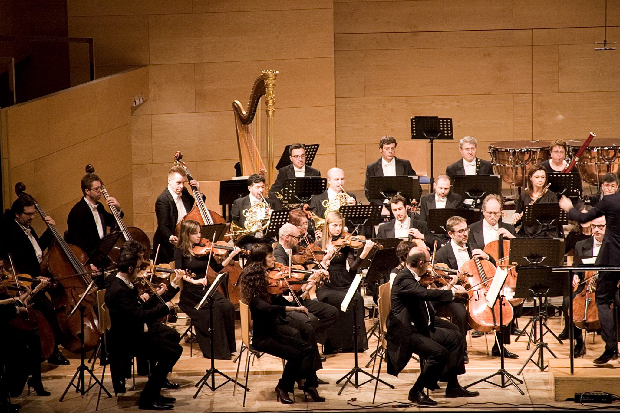 fotografia: Zircus Foto