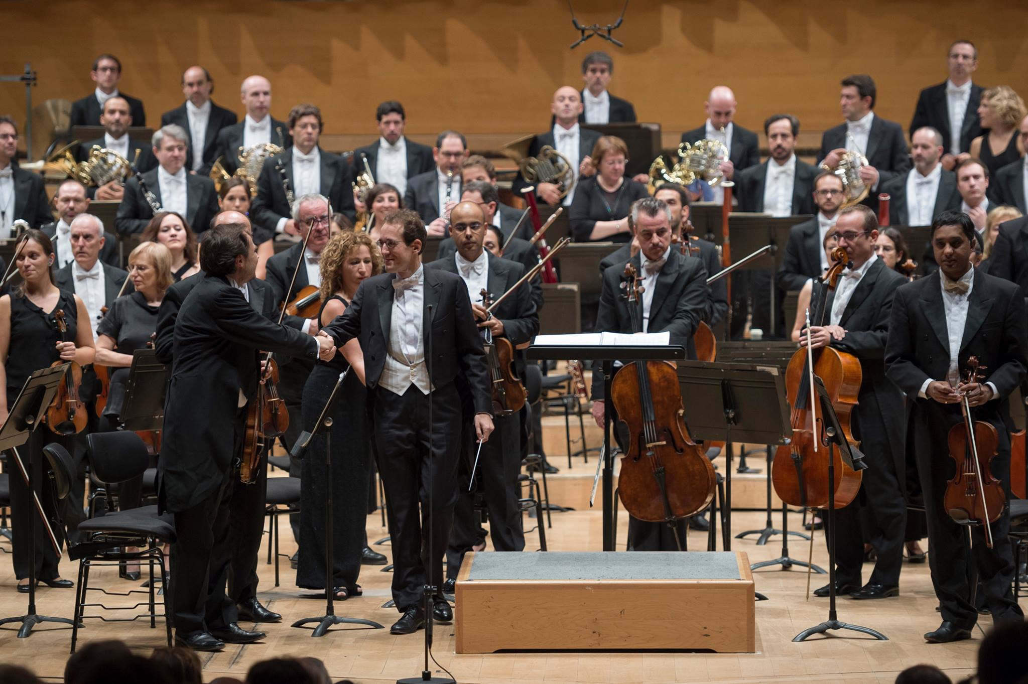 fotografia: Zircus Foto