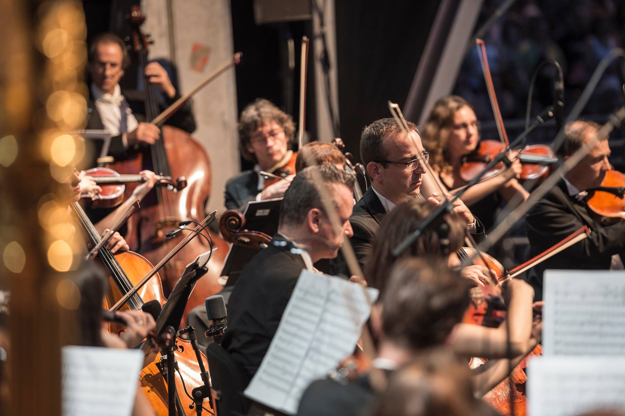 fotografia: Zircus Foto