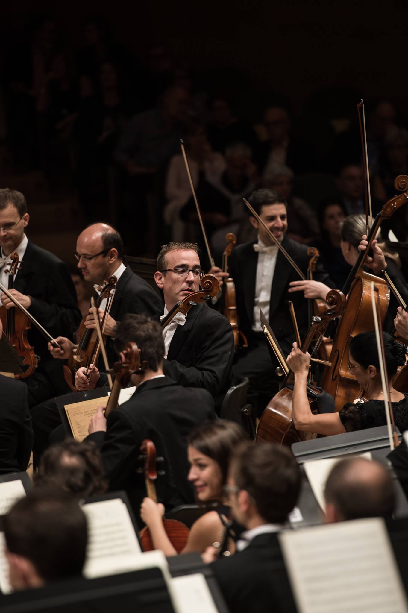 fotografia: Zircus Foto